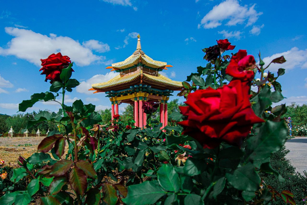 Фотопоездка в Калмыкию. Фотограф Тимофей Юров Москва