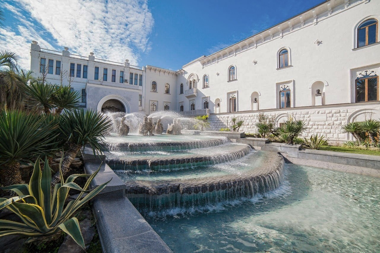 Абхазия. Мимоза. Ольга Котова