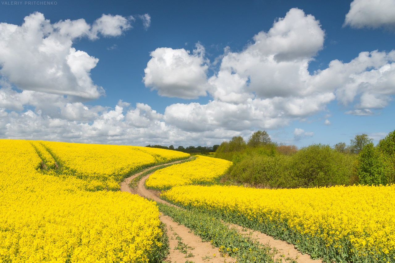 Фототур «Свет янтаря в сердце Балтики». Ольга Котова