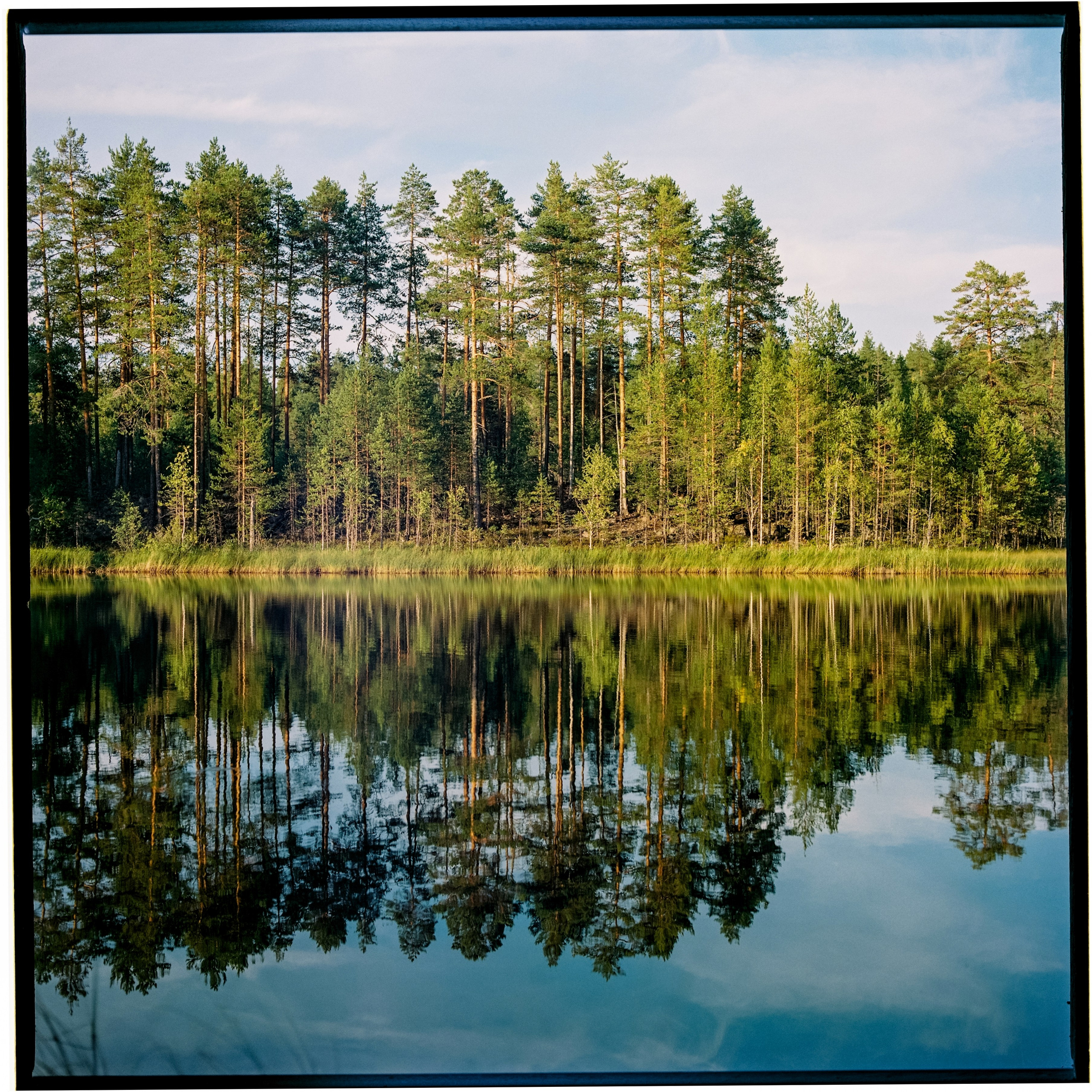 Карелия 2024. Стилист и плёночный фотограф Анастасия Шлокова в Санкт-Петербурге и Москве