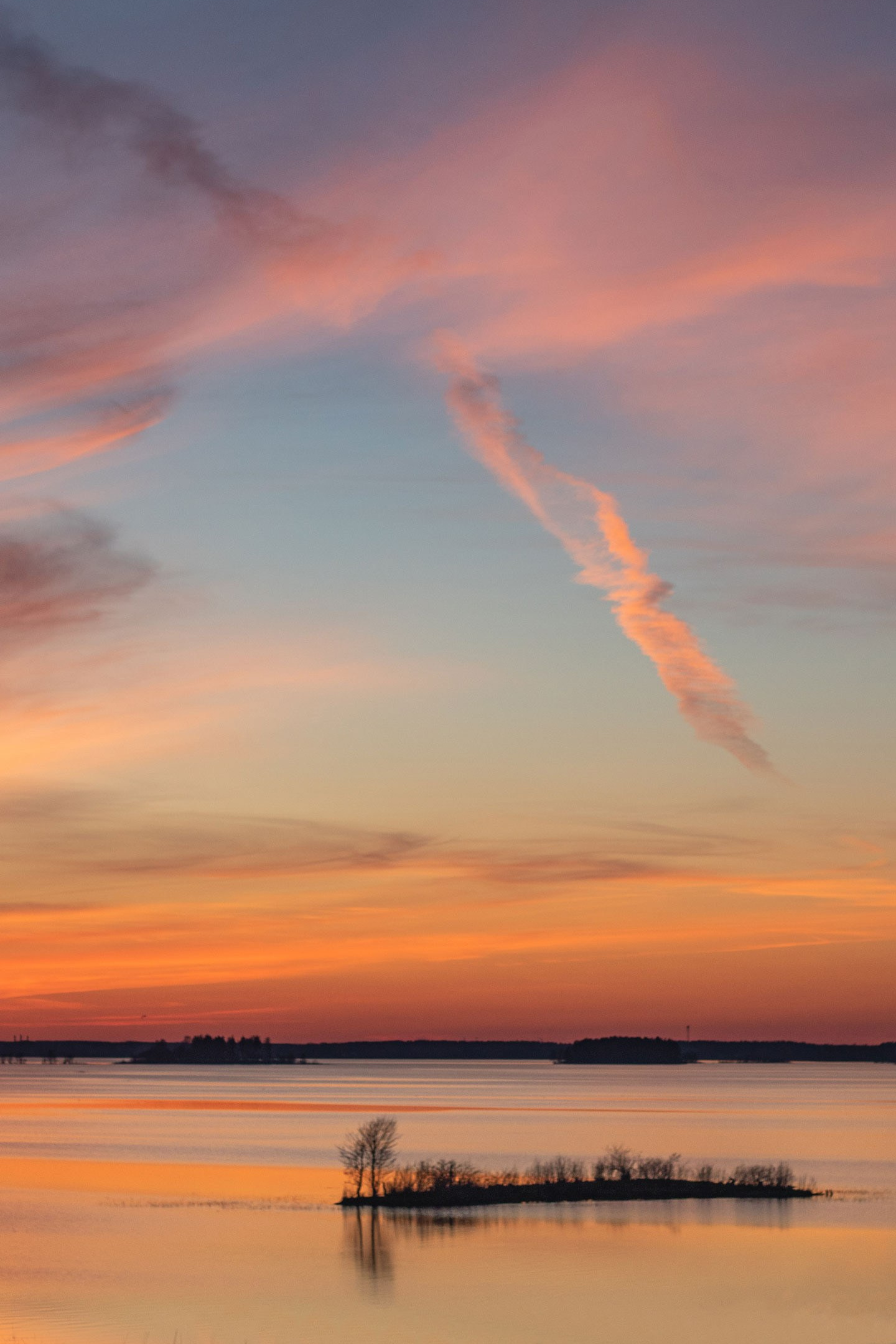夏季在维什尼沃洛乔克 – 捕捉大自然四季的摄影系列