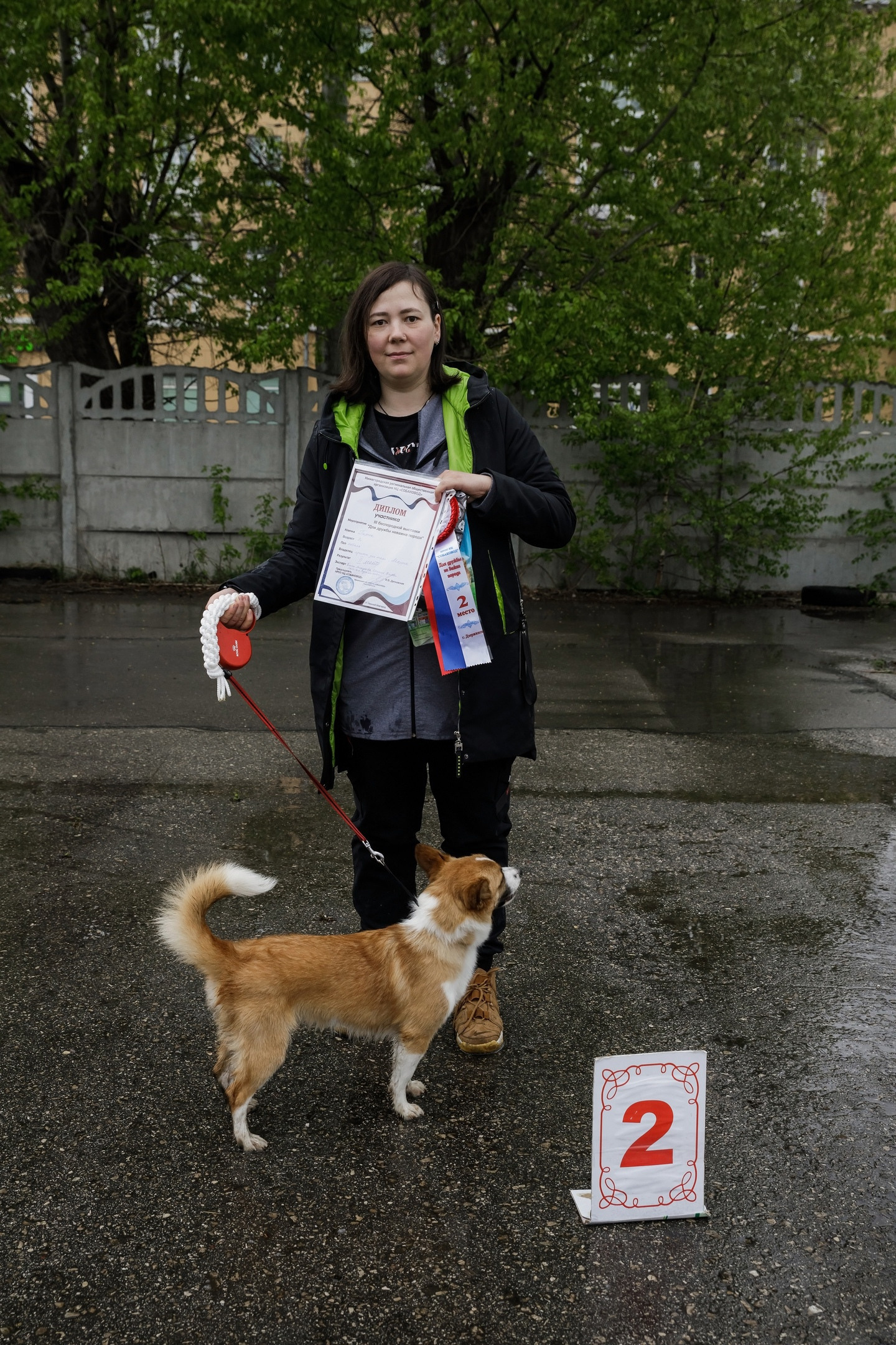 Третья выставка беспородных собак «Для дружбы не важна порода». НРОО КЦ "Собаковод"