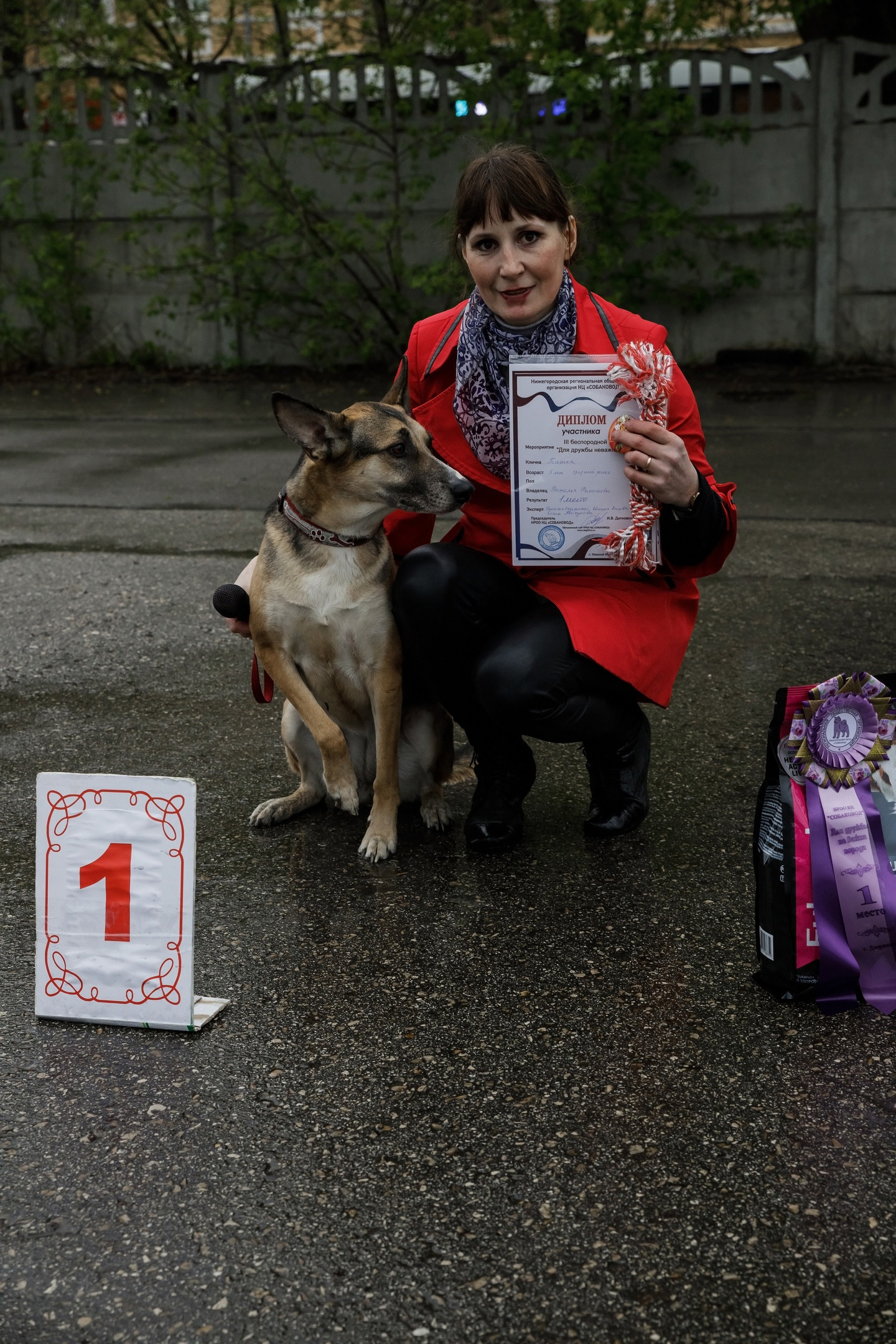 Третья выставка беспородных собак «Для дружбы не важна порода». НРОО КЦ "Собаковод"