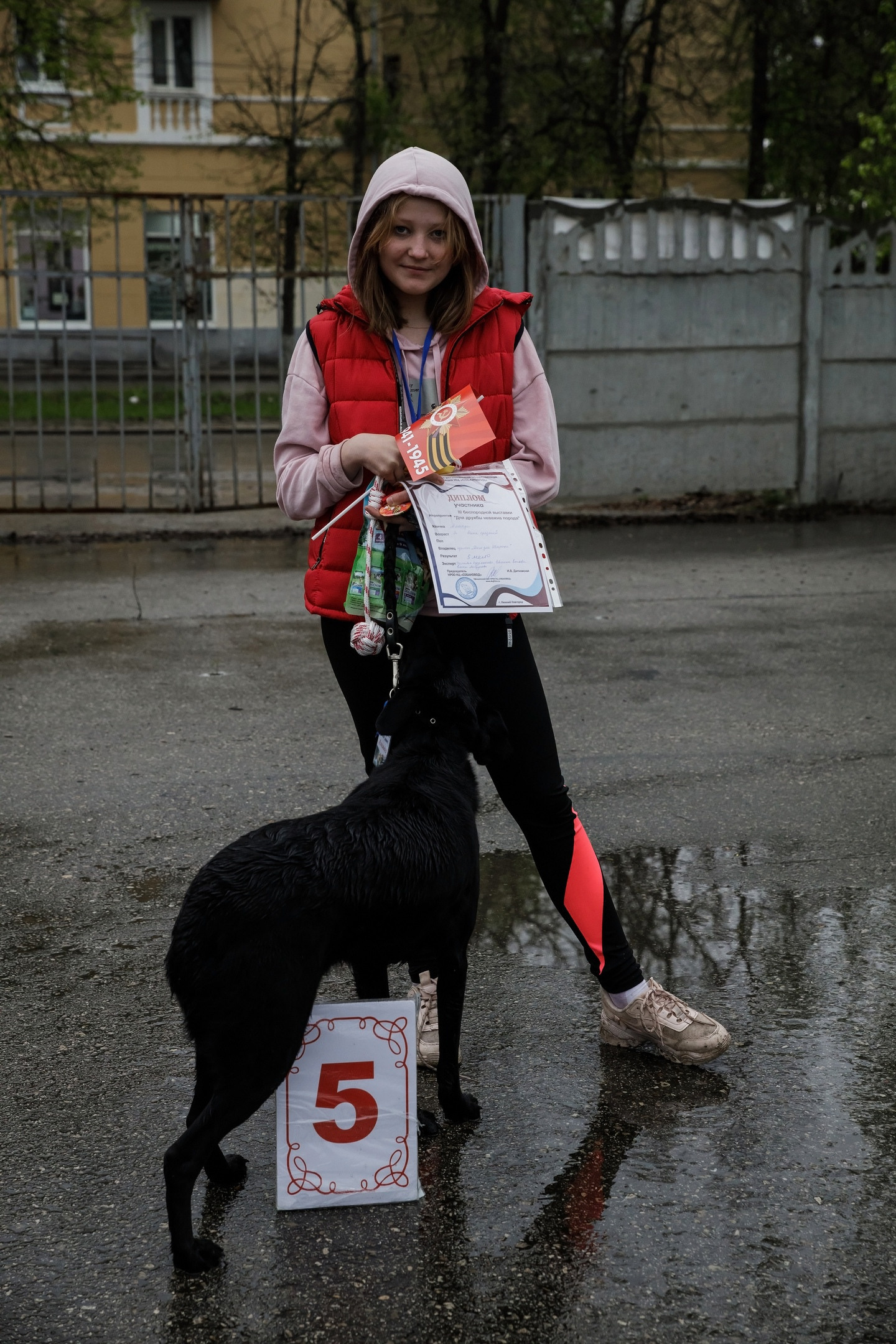 Третья выставка беспородных собак «Для дружбы не важна порода». НРОО КЦ "Собаковод"