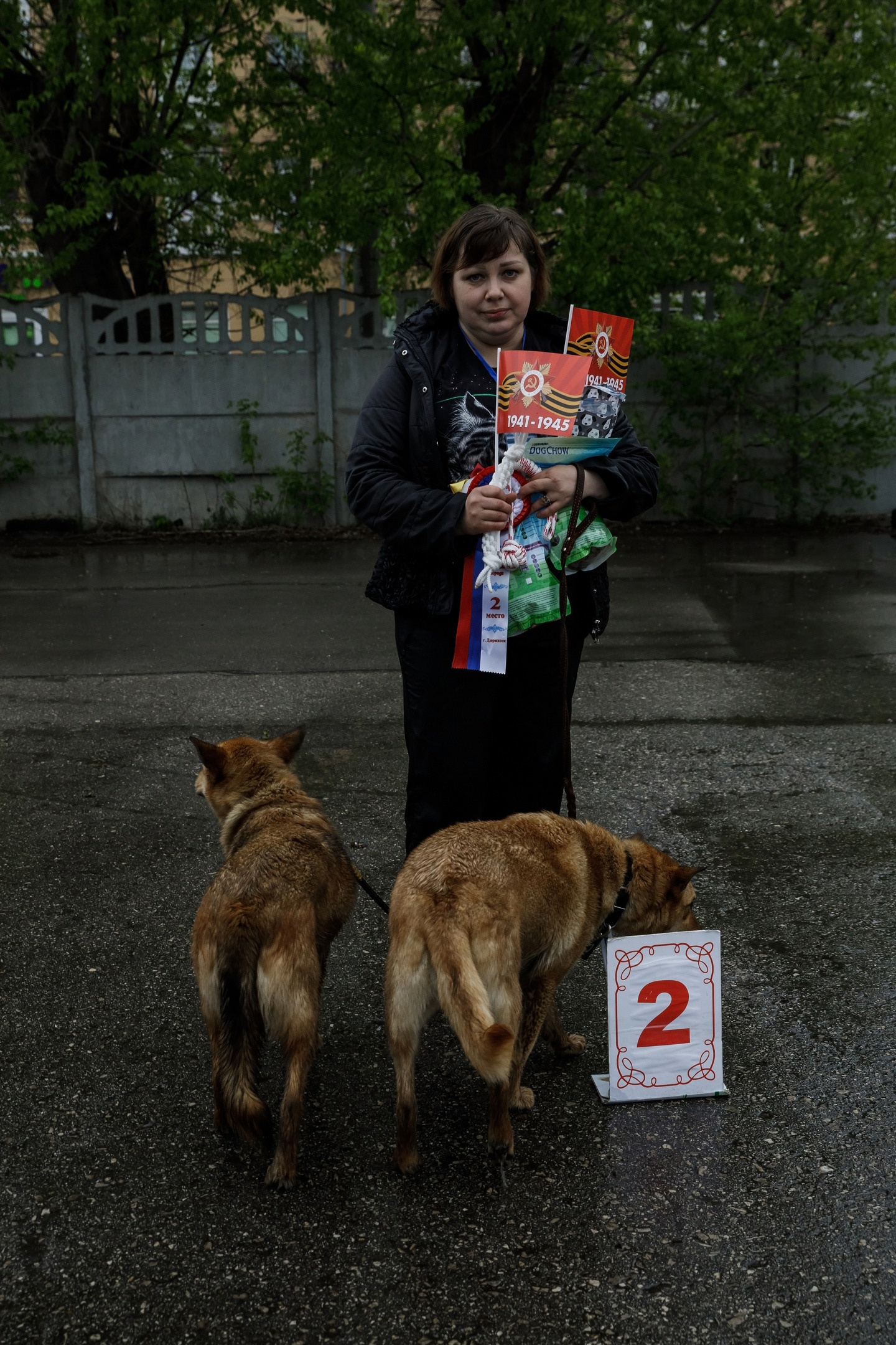 Третья выставка беспородных собак «Для дружбы не важна порода». НРОО КЦ "Собаковод"