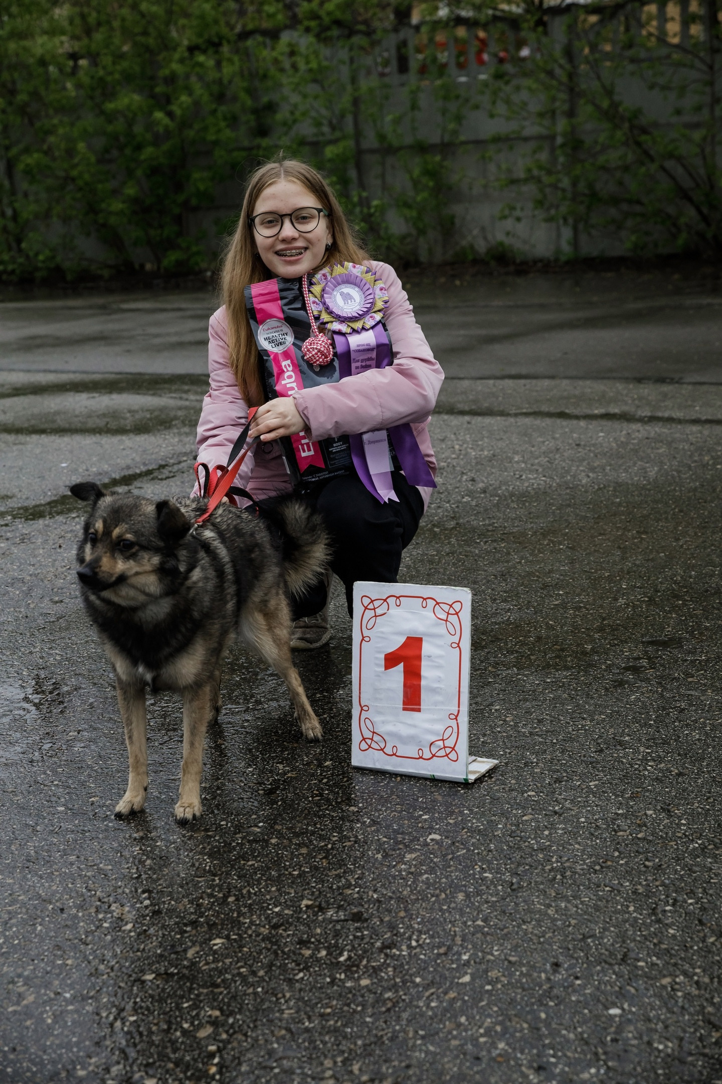Третья выставка беспородных собак «Для дружбы не важна порода». НРОО КЦ "Собаковод"