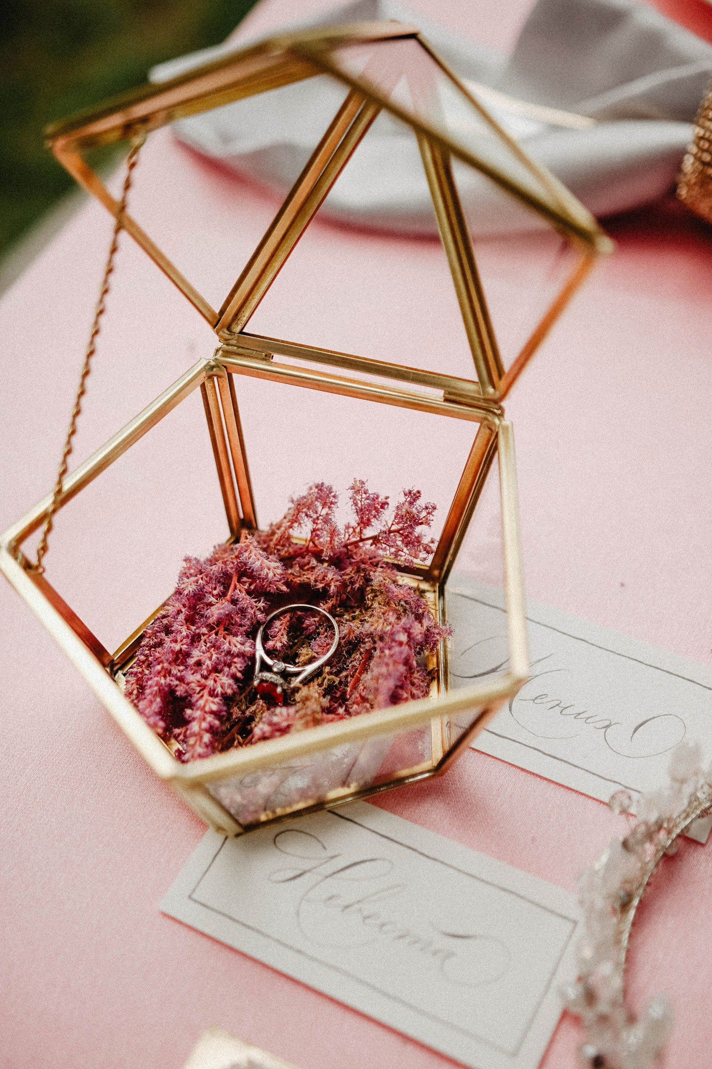 Фотограф Таня Королёк