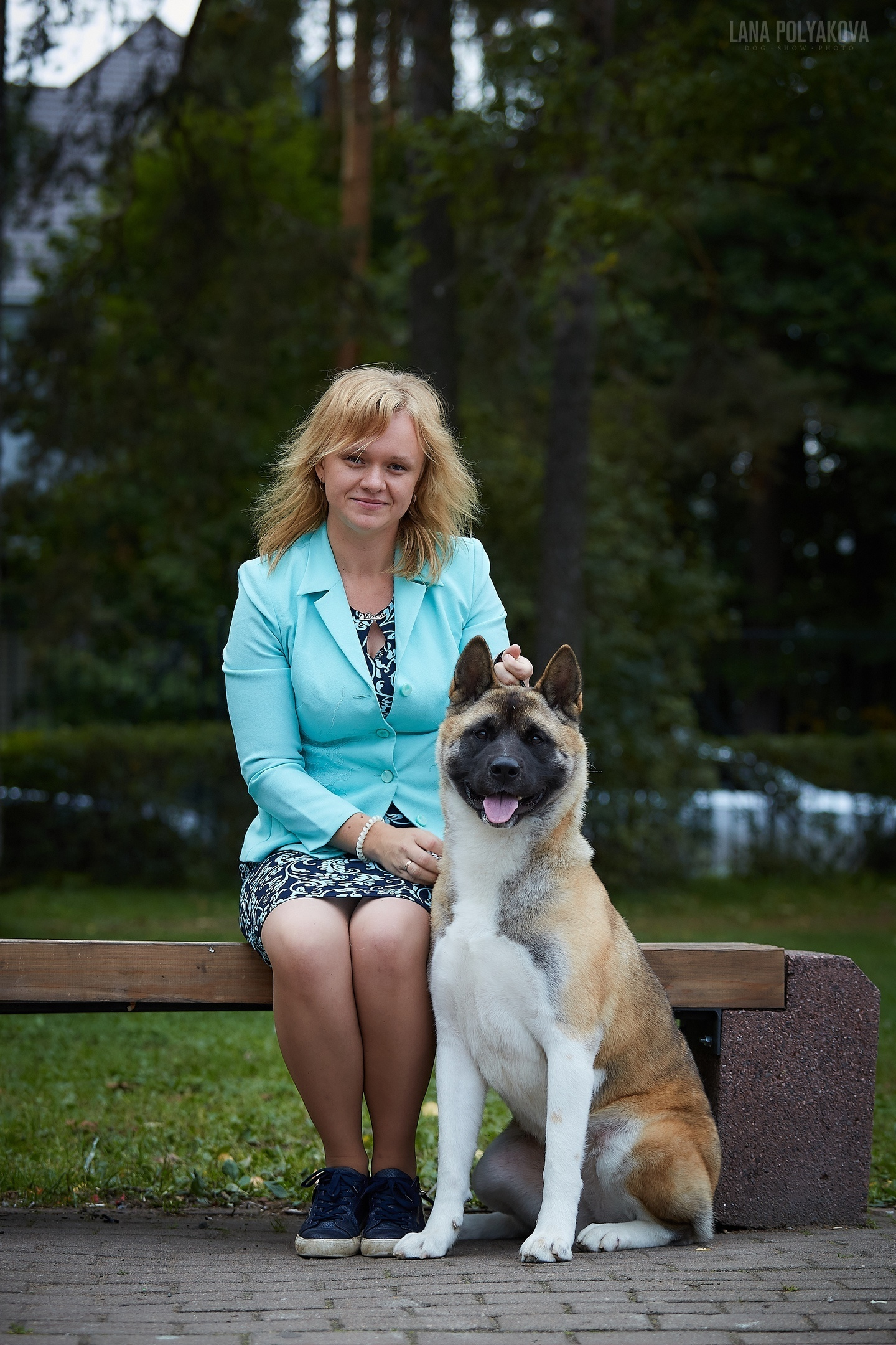 Новости питомника RUBYLIGHT, американская акита. Американская акита I Сиба ину I Питомник RUBYLIGHT