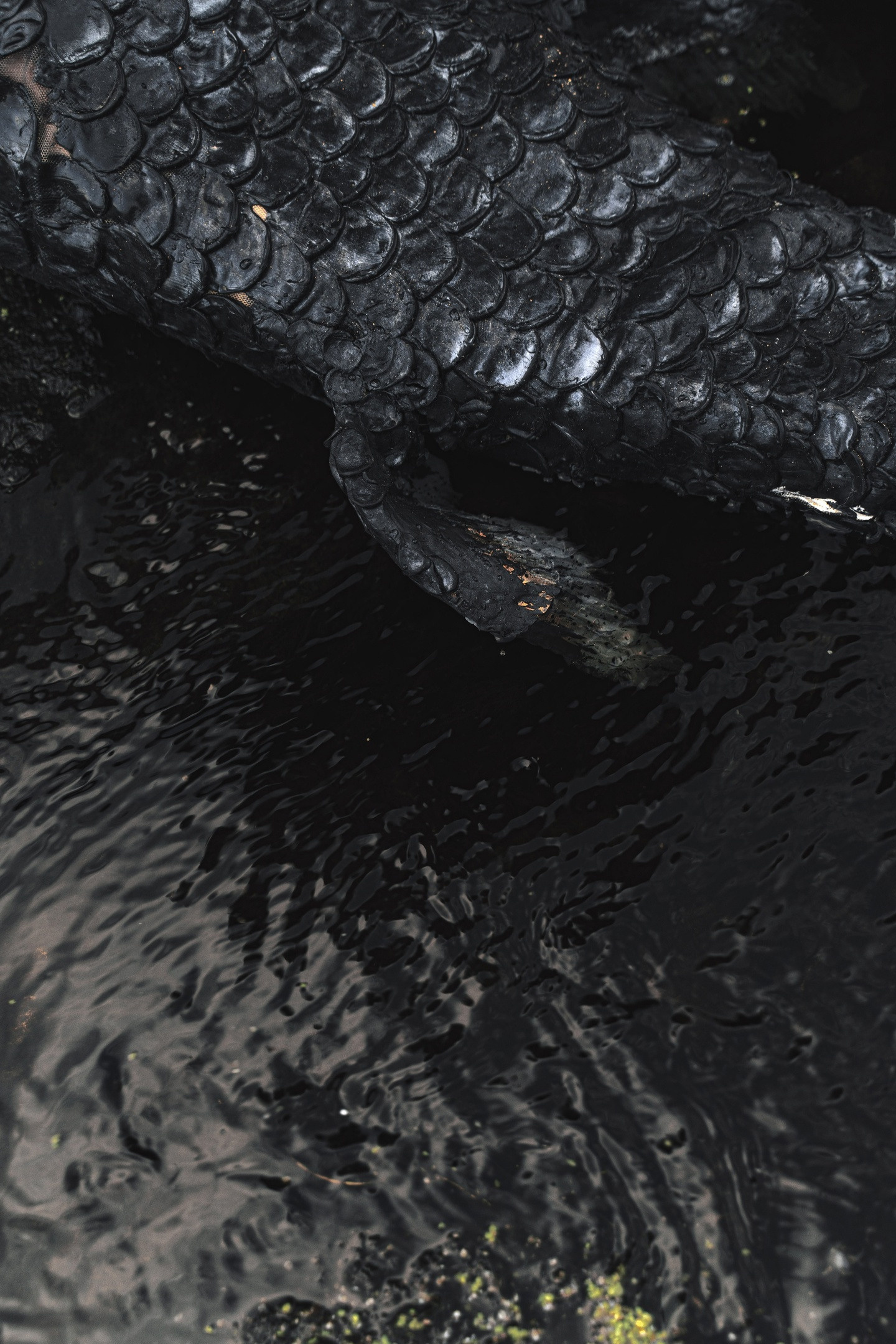 Fashion & Art. Фотограф в Санкт-Петербурге Диана Цой