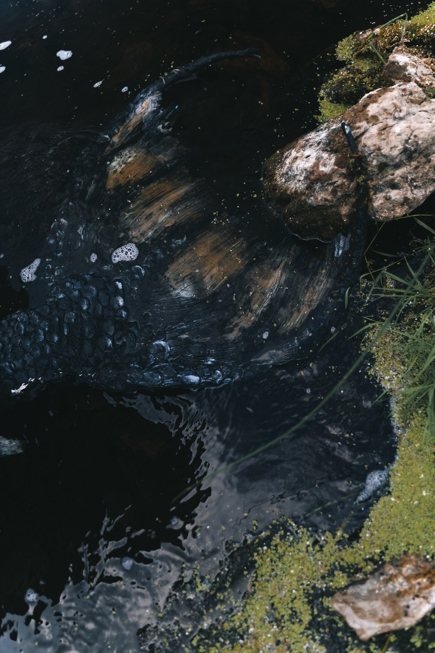 Fashion & Art. Фотограф в Санкт-Петербурге Диана Цой