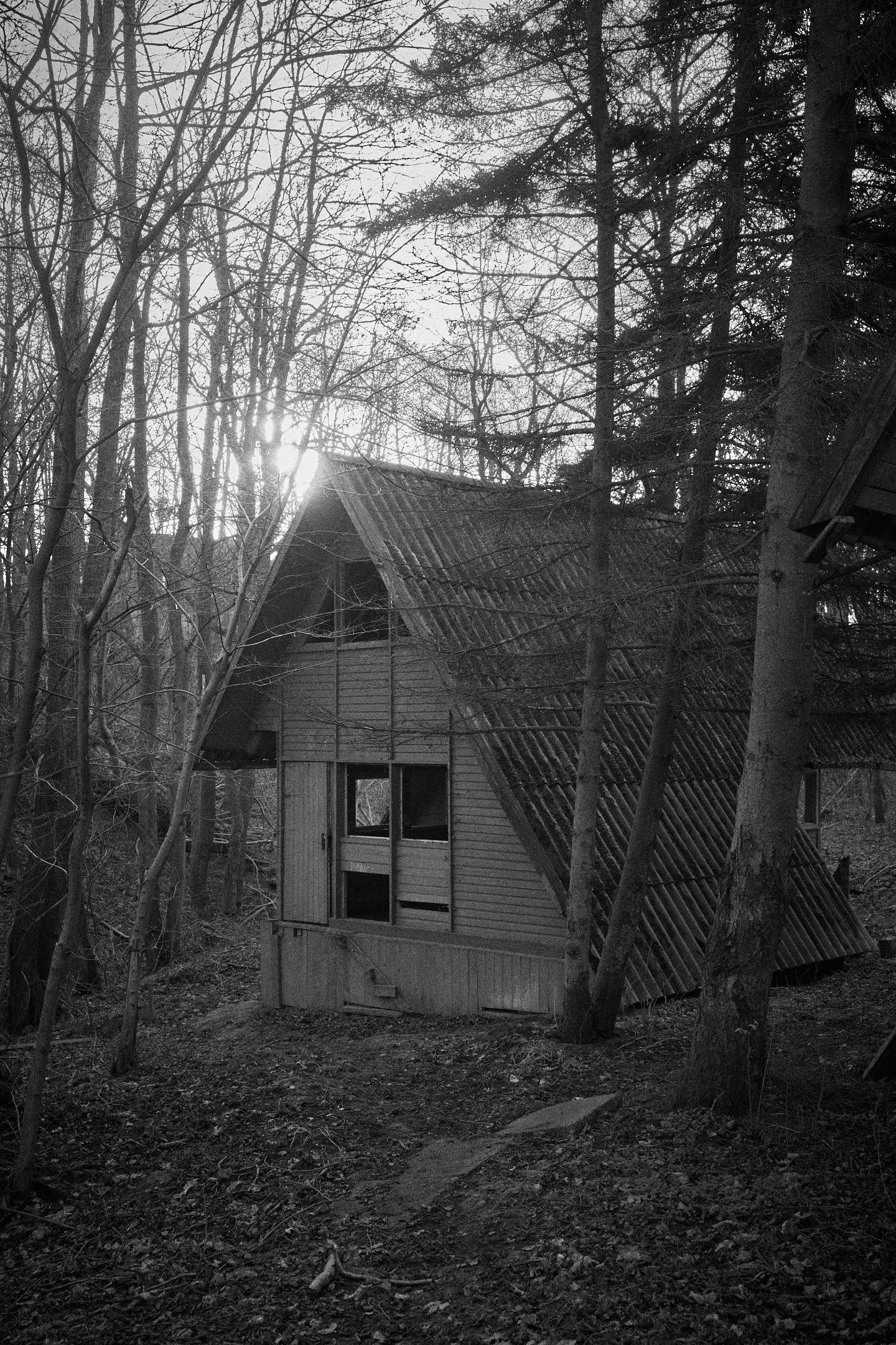 Линии. Михаил Барановский