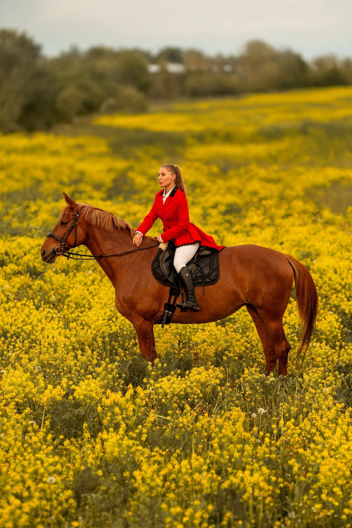 Фотосессии в маковых полях СПБ