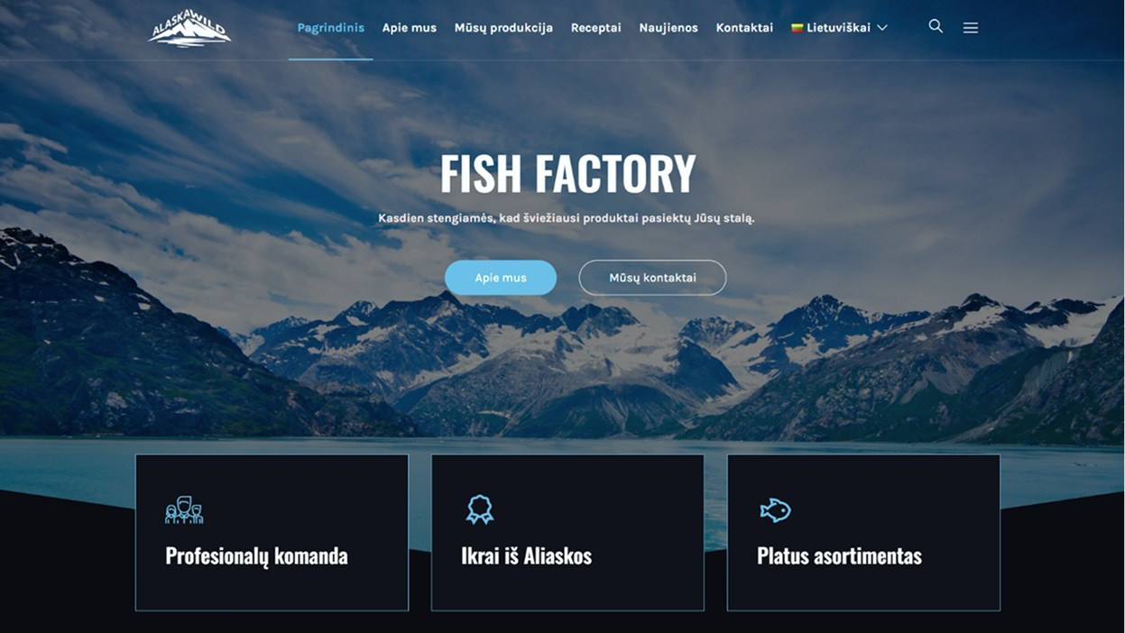 Дизайн сайтов. Студия фото, видеографии и мультимедийного дизайна в Москве Multi Frame Studio