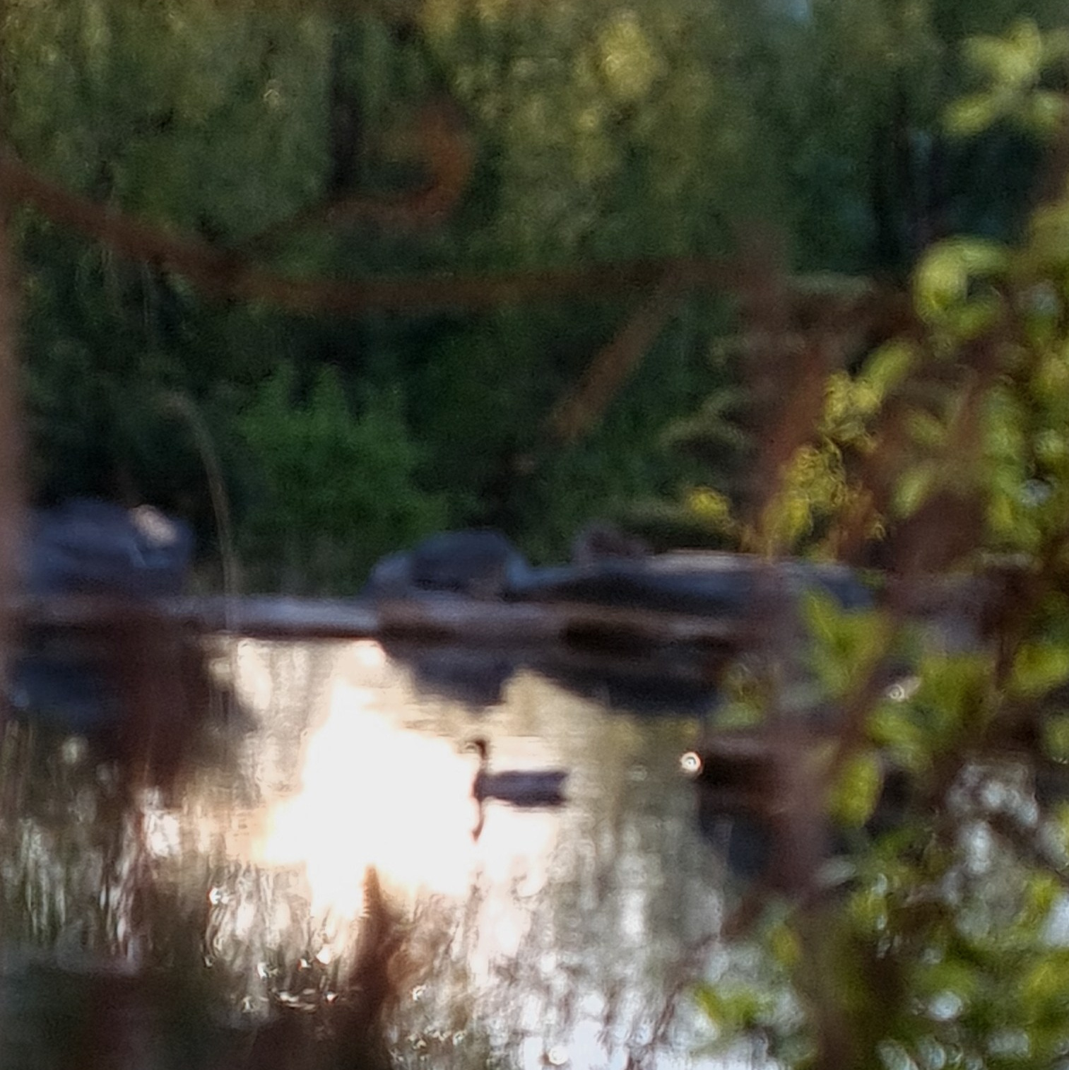 Gallery «OUT». Artista Nazarova. Universe strings singing