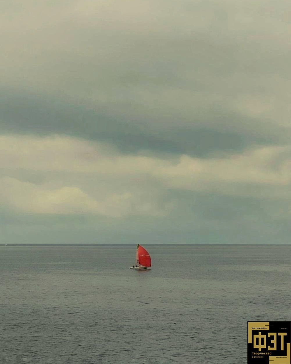 Выбор зрителей 23.11.25