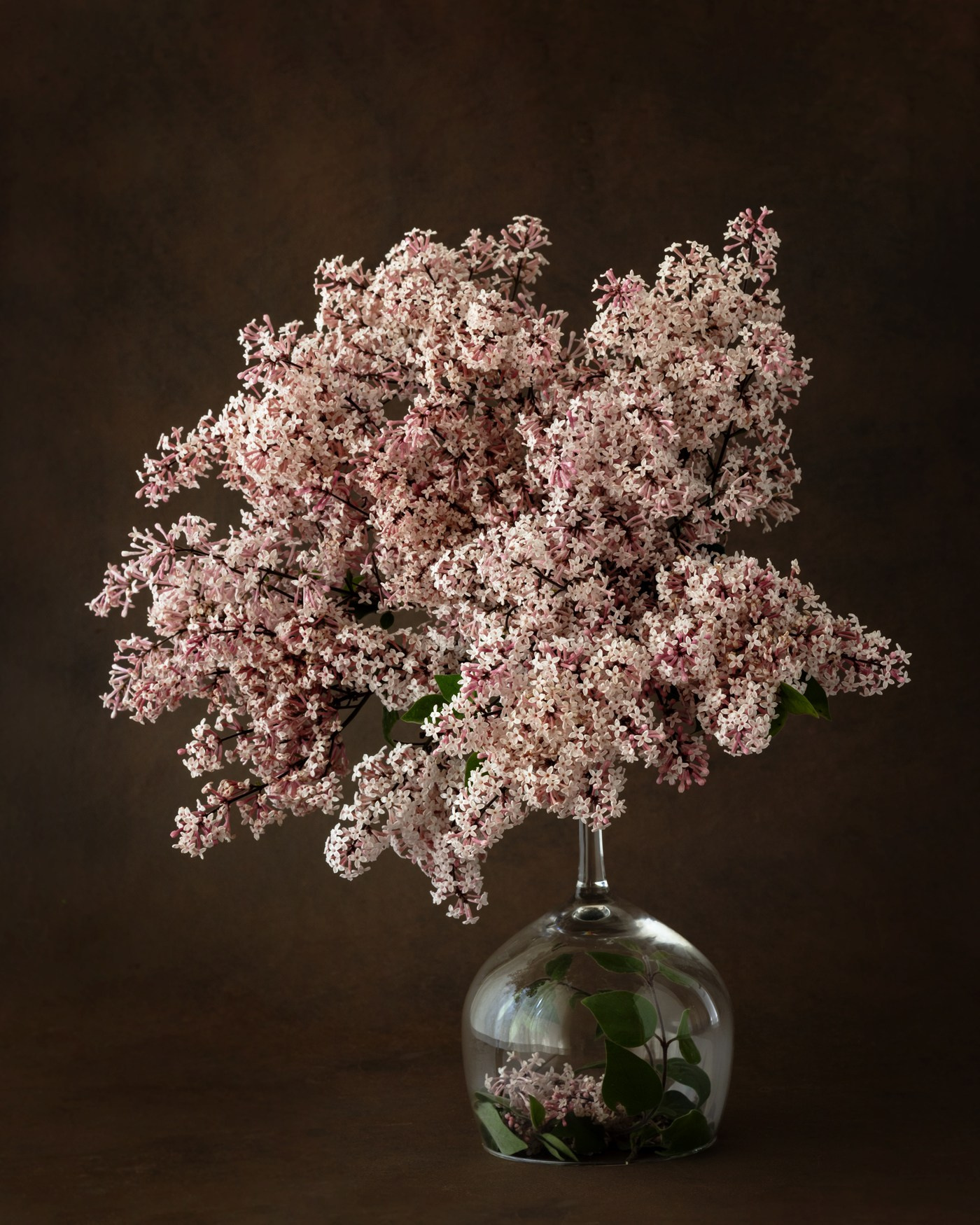 Floral Portraits. Author’s fine art prints with international delivery