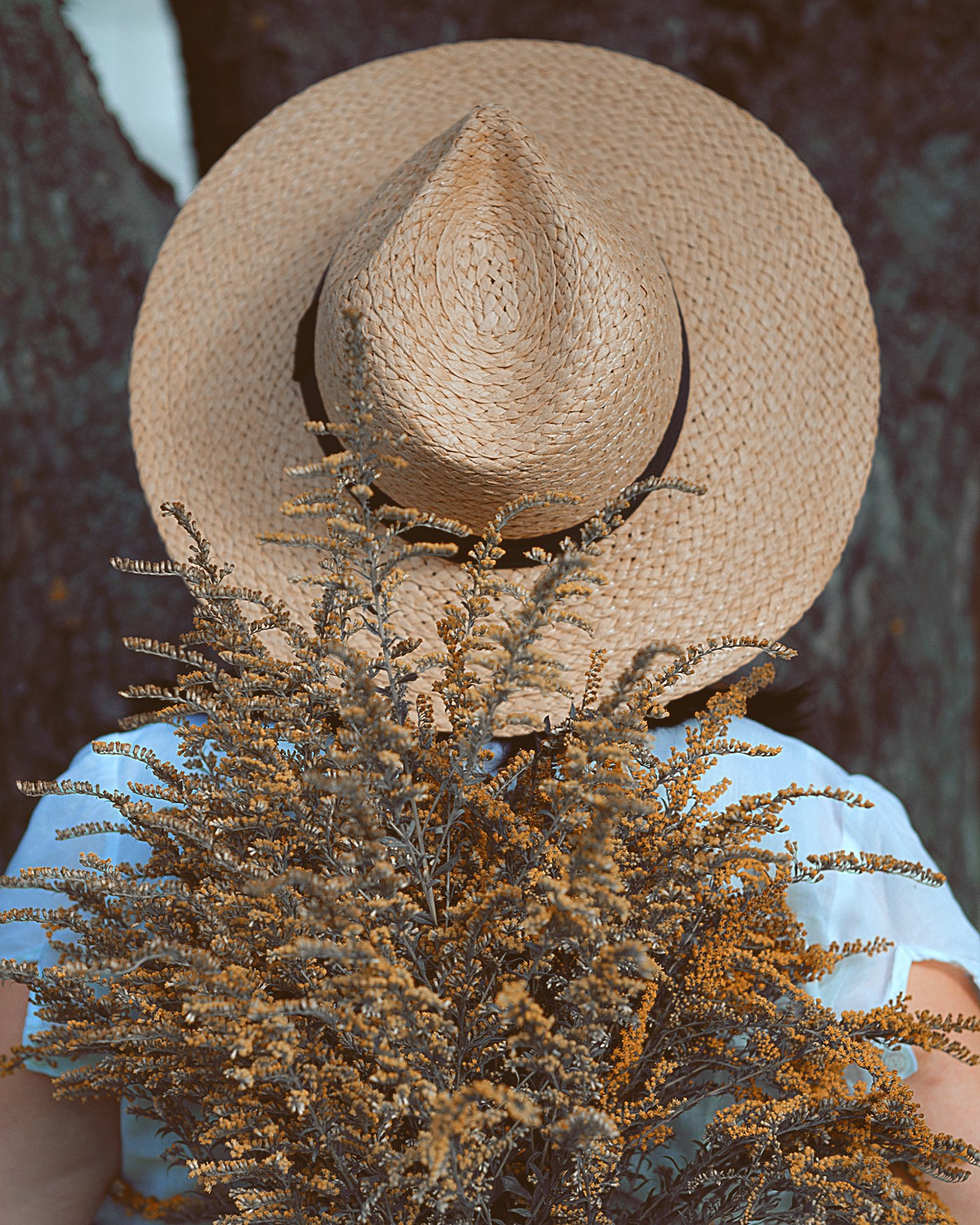 Фотограф Павлова Светлана / Брянск /