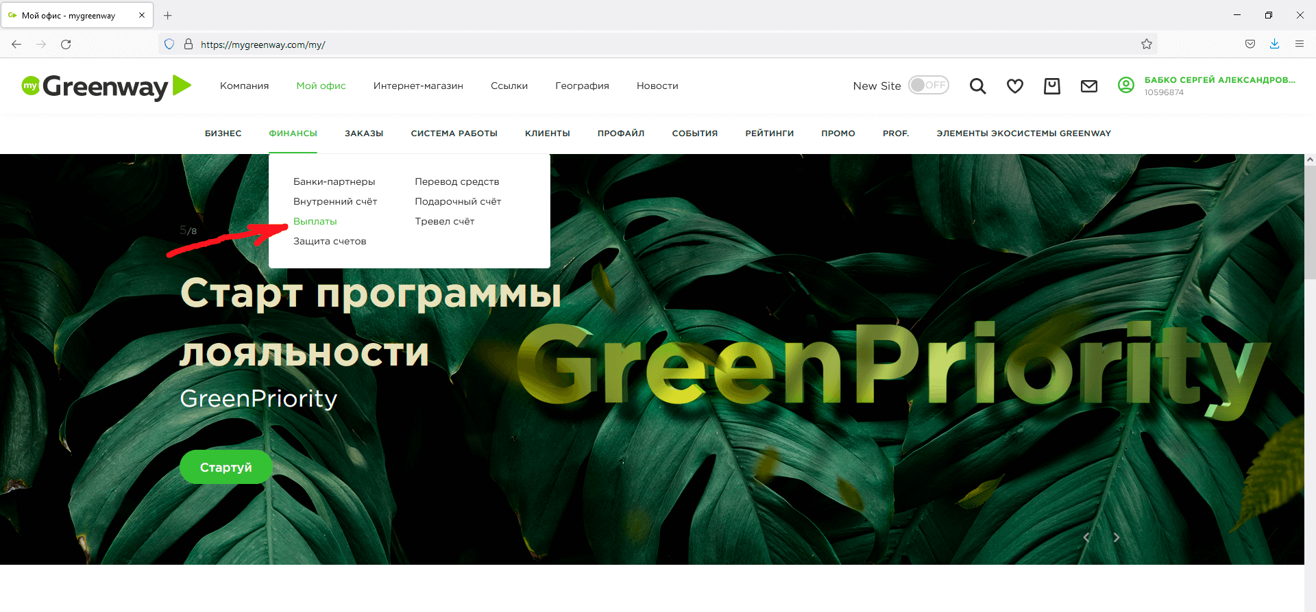 вывод денежных средств в гринвей