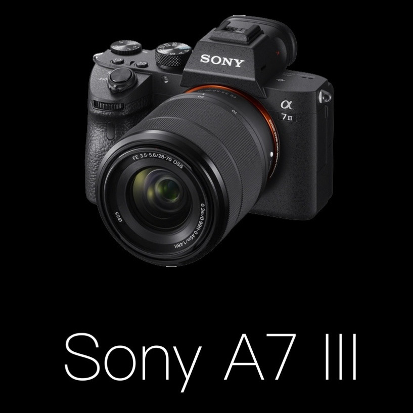 Оборудование. Beardy Pix