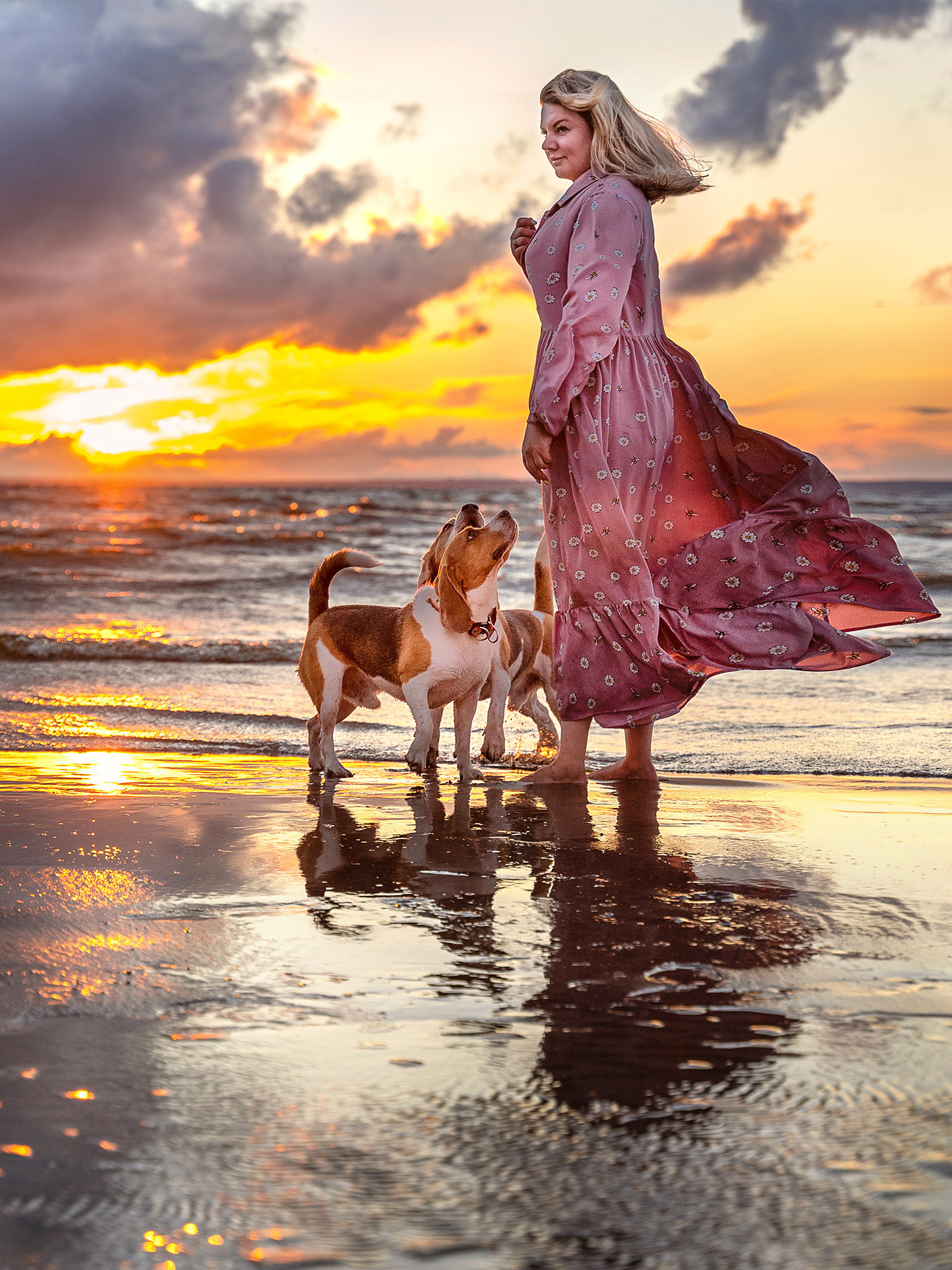 Девушка и два бигля на фотопрогулке на берегу залива на закате