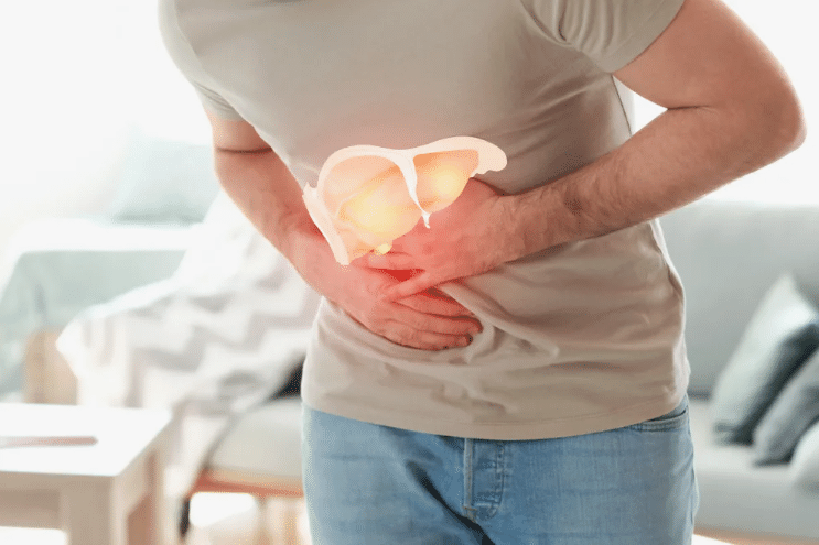 Печень — главный орган пищеварительной системы. Сово-Сово — Омоложение и оздоровление!