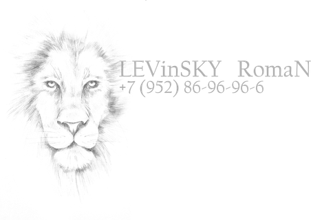 romanlevinsky.ru