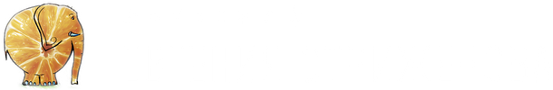 strizhenova.ru