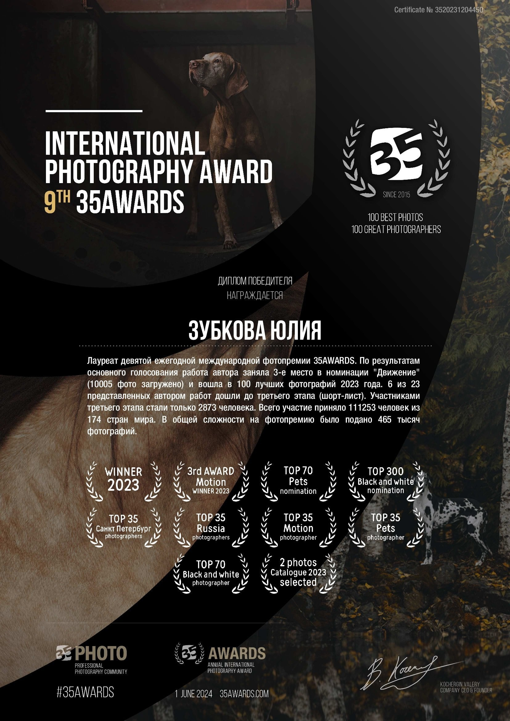 Мои достижения. Фотограф-анималист Юлия Зубкова