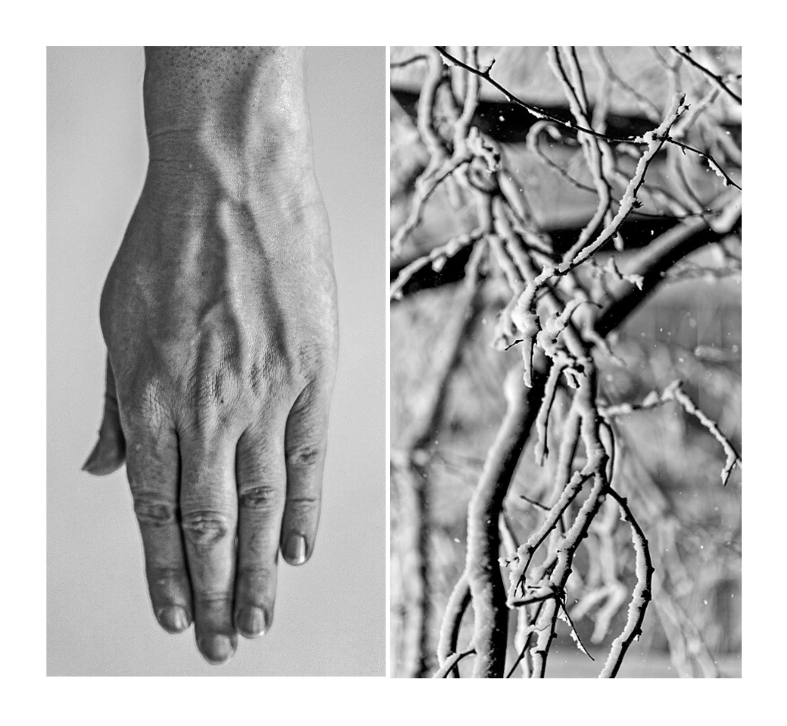 «Природа тела». Наталья Чернобровкина — междисциплинарный художник