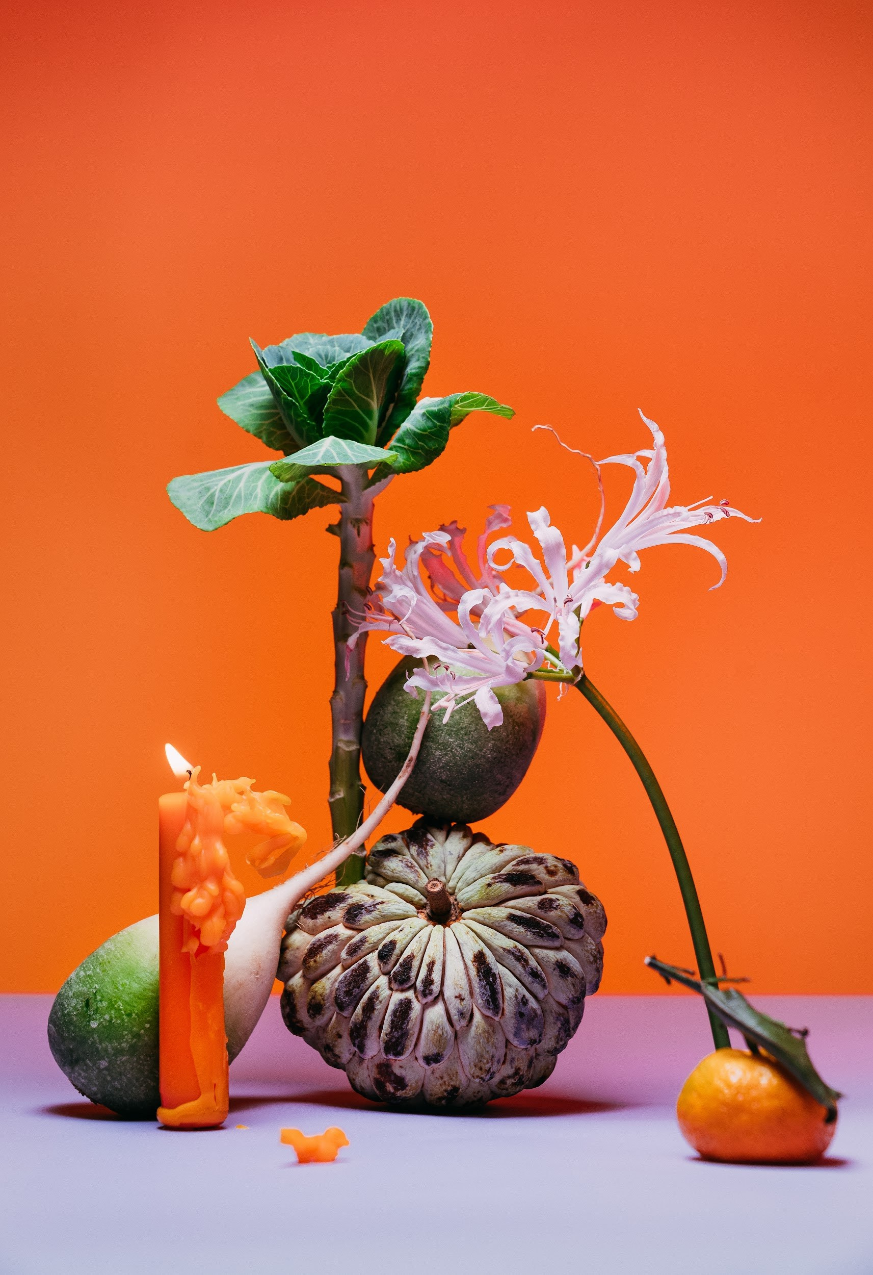 Цифровая фотография для печати интерьерного постера.