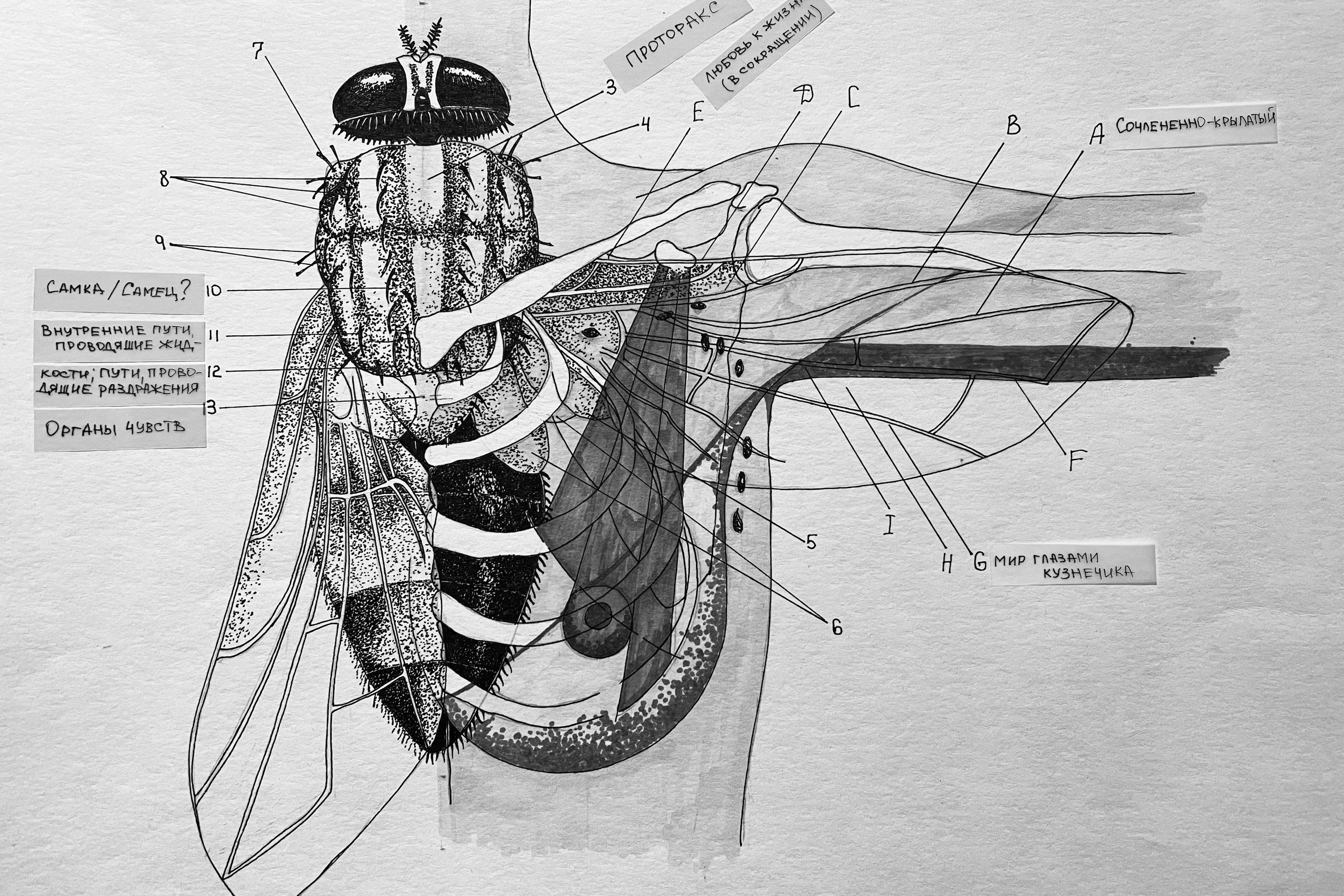 Выставка ''Черный ящик'' с 16 марта по 16 апреля 2021 года