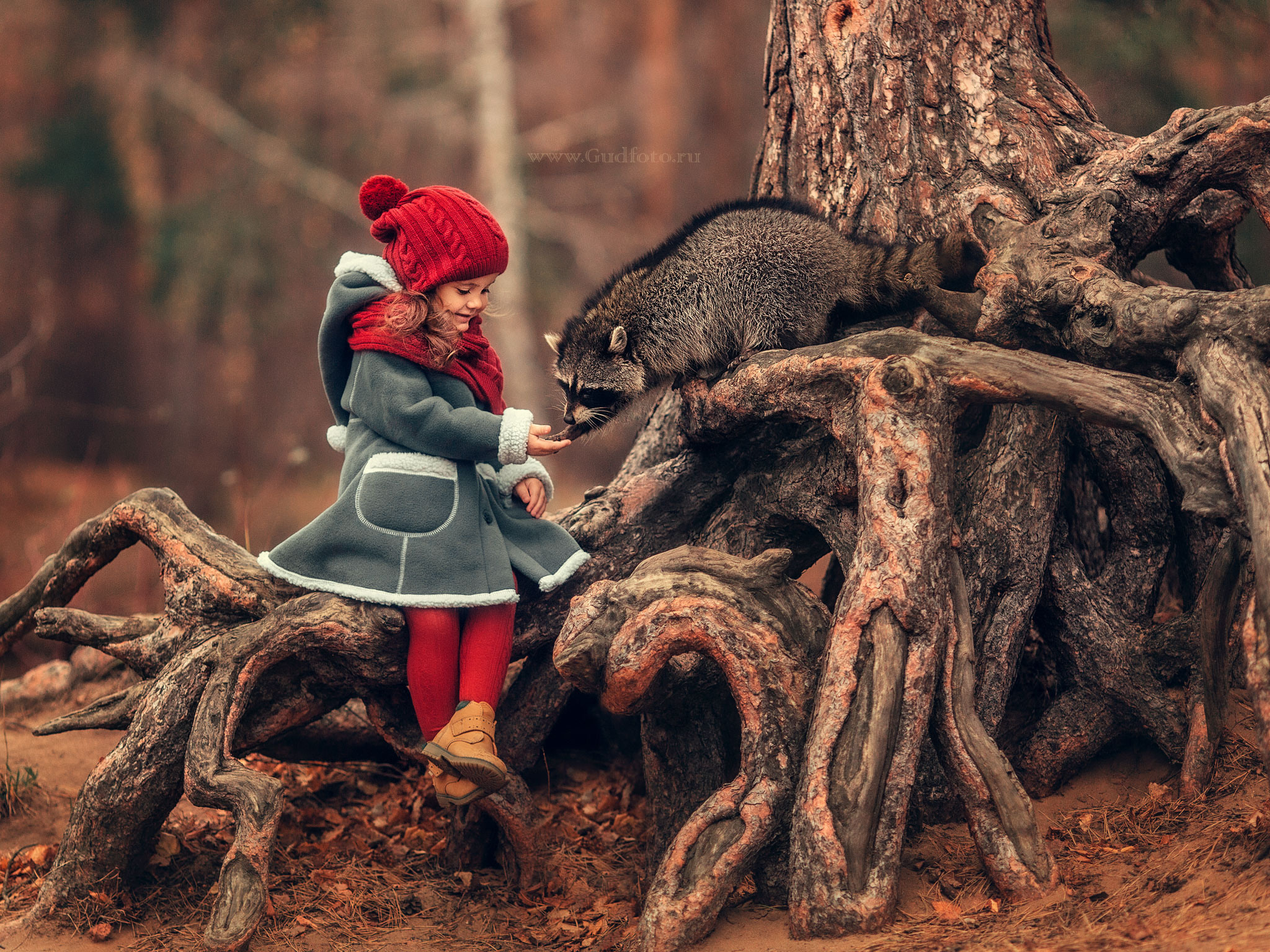 Детские и семейные фотосесии. Детский и семейный фотограф с животными в Москве Гурьева Надежда