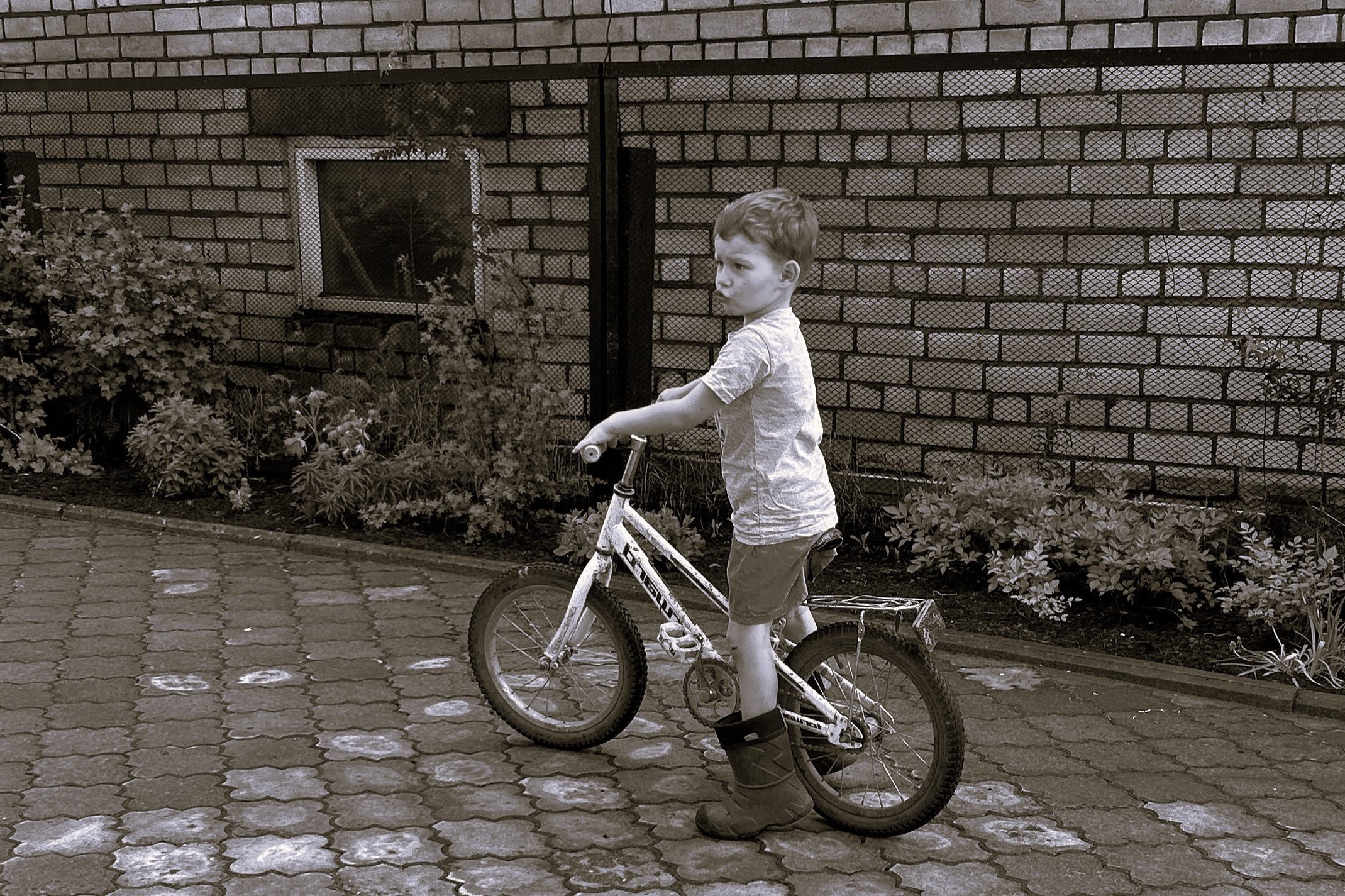 Услуги. Видеограф в Архангельске Елена Курбатова