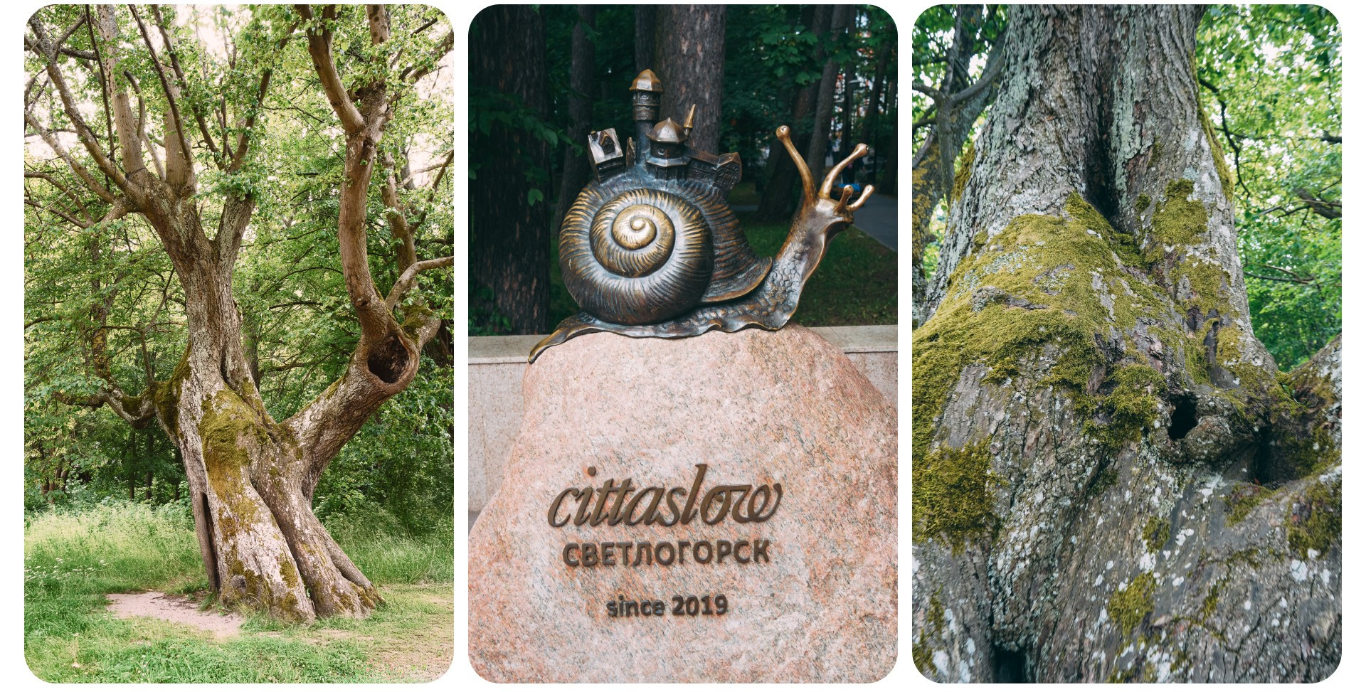 Калининград 1. Фотограф из Москвы — DASHA NOVA | Авторская фотография в разных жанрах