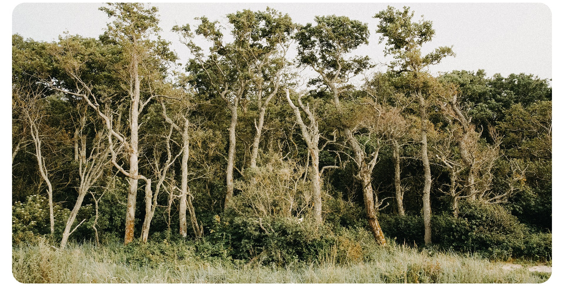 Калининград 3. Фотограф из Москвы — DASHA NOVA | Авторская фотография в разных жанрах