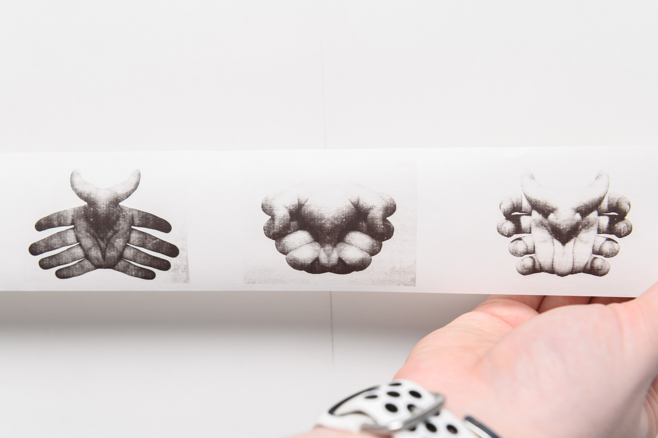 Ручные пылевые клещи. Мария Ковалевская — фотохудожник