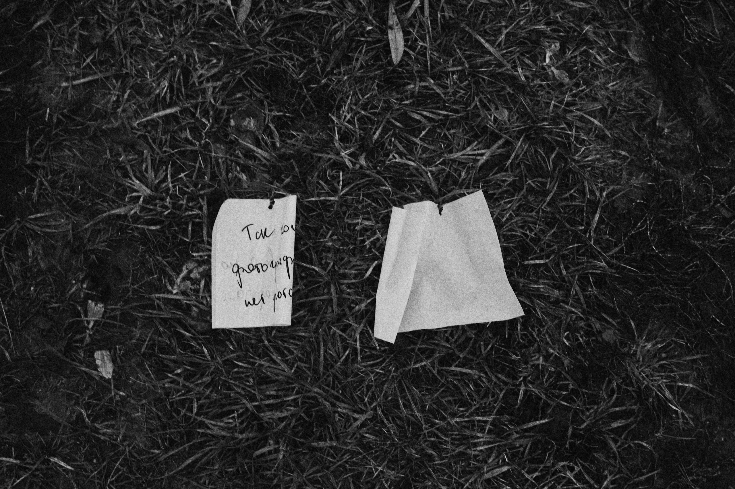 Перформанс «Лес мыслей». Коммерческий фотограф в Казани Ксения Добролюбова