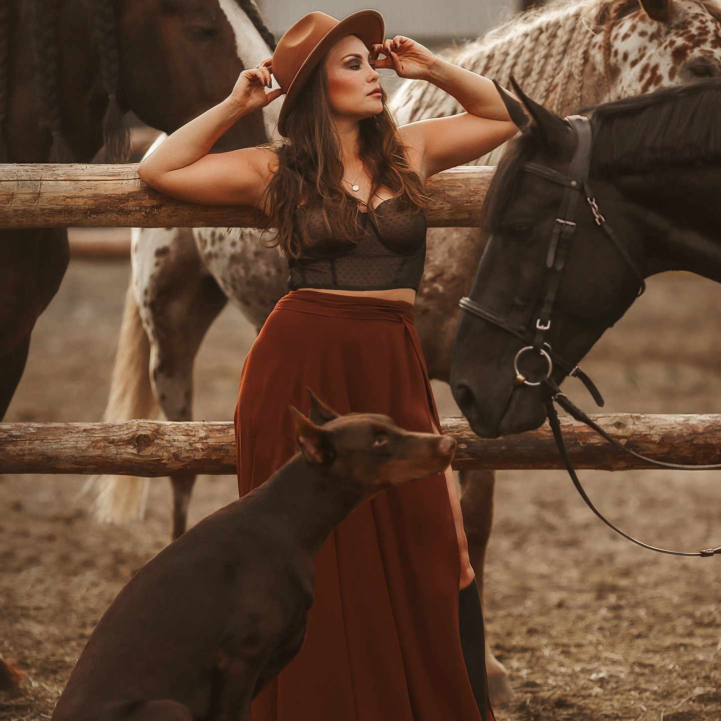 катание на лошадях тюмень, фотосессии с лошадьми тюмень 