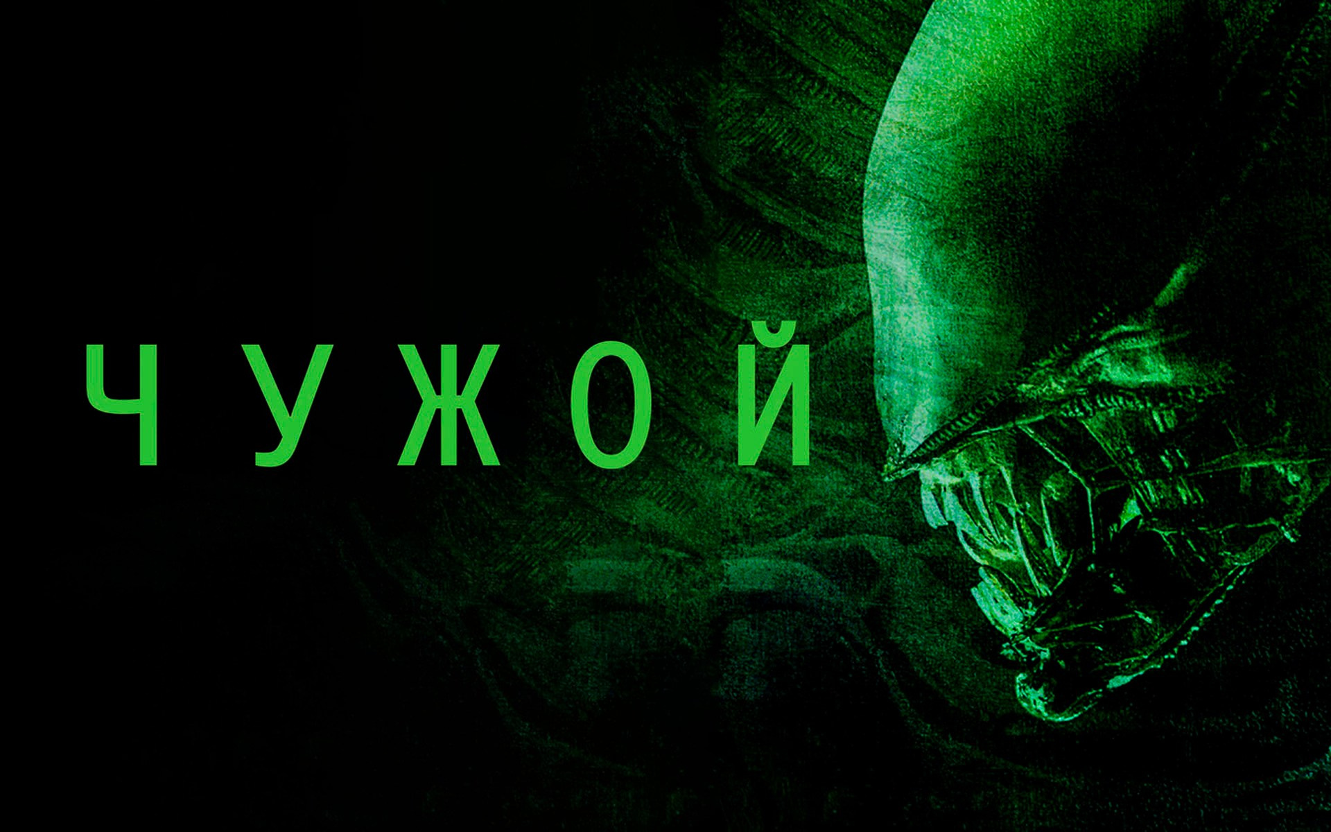 В космосе твой крик никто не услышит. О вселенной Чужого простыми словами