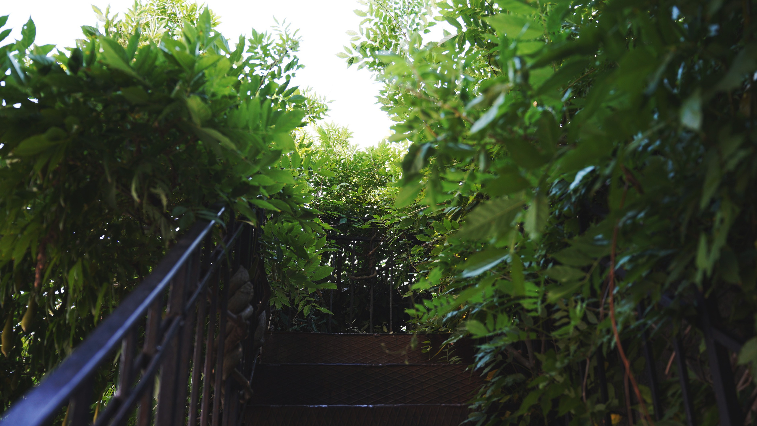 Крым. Фотограф из Москвы — DASHA NOVA | Авторская фотография в разных жанрах