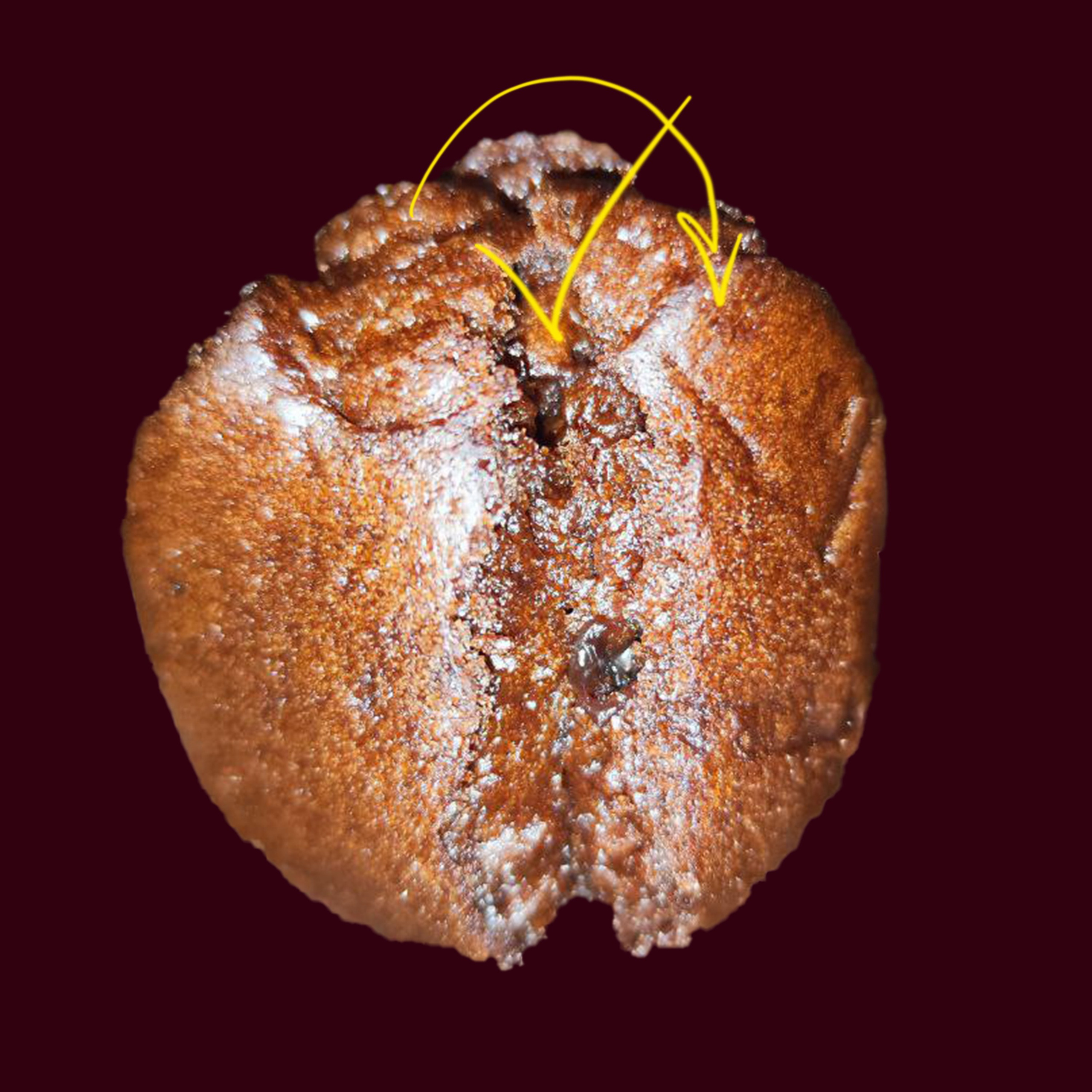 фотограф, фотография, фото проект. женщина, женская физиология, сексуальность, эмоции, секс, искусство, современное искусство, поп арт, фотопроект, фуд съемка, художественая съемка, галлерея, художник, предметная съемка, феминизм, выставка, выставка фотографии, цвет, обложка для книги, обложка для песни, обложкадля музыкального альбома, лучший фотограф России, best of photographers, gallery, photo, art, pop art, photography, women, woman, art photo, contemporary art, world of art, 照片,艺术, 中国