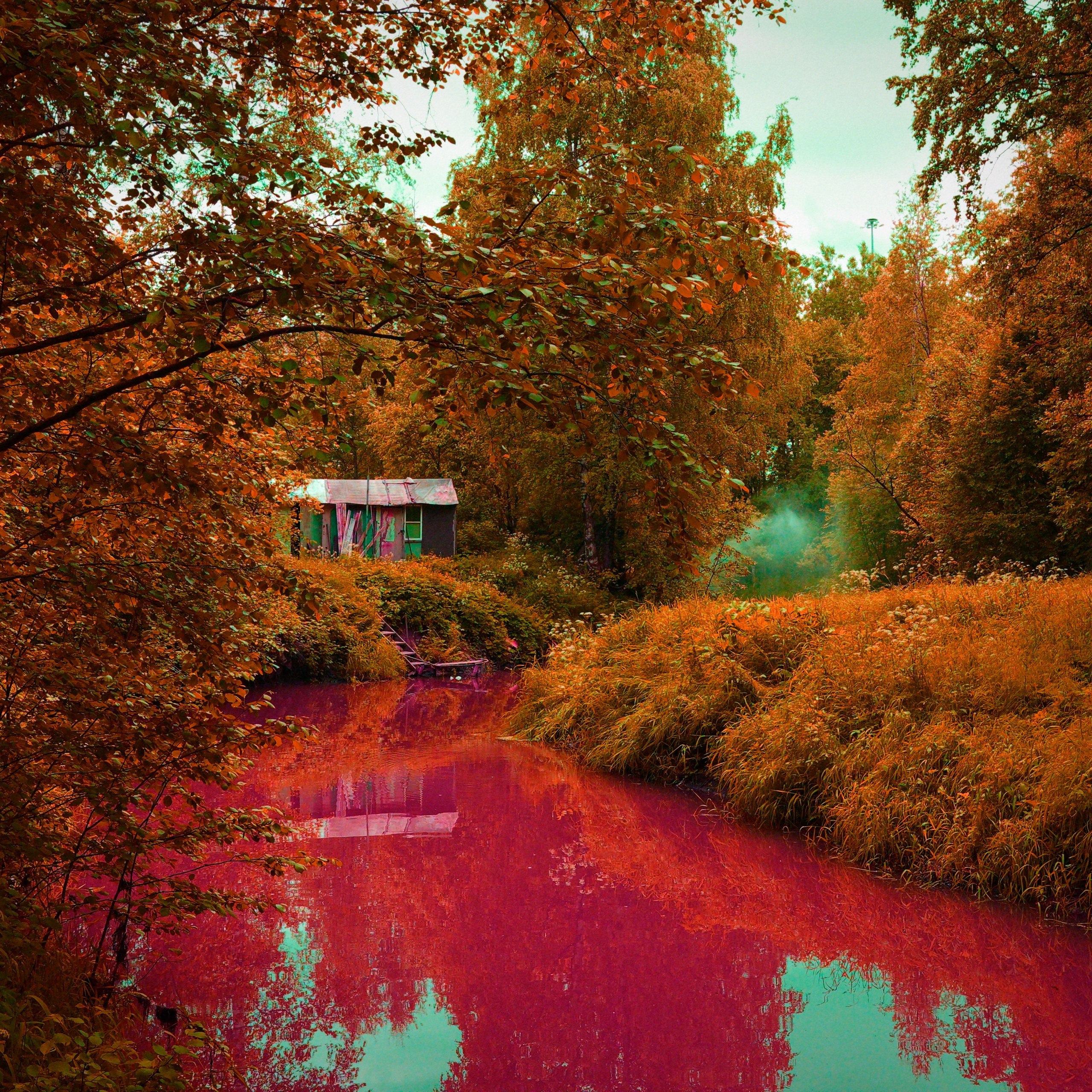 Жители красной реки. Роман Ходырев — эзотериолог, художник, фотограф и музыкант. Санкт-Петербург, Рига