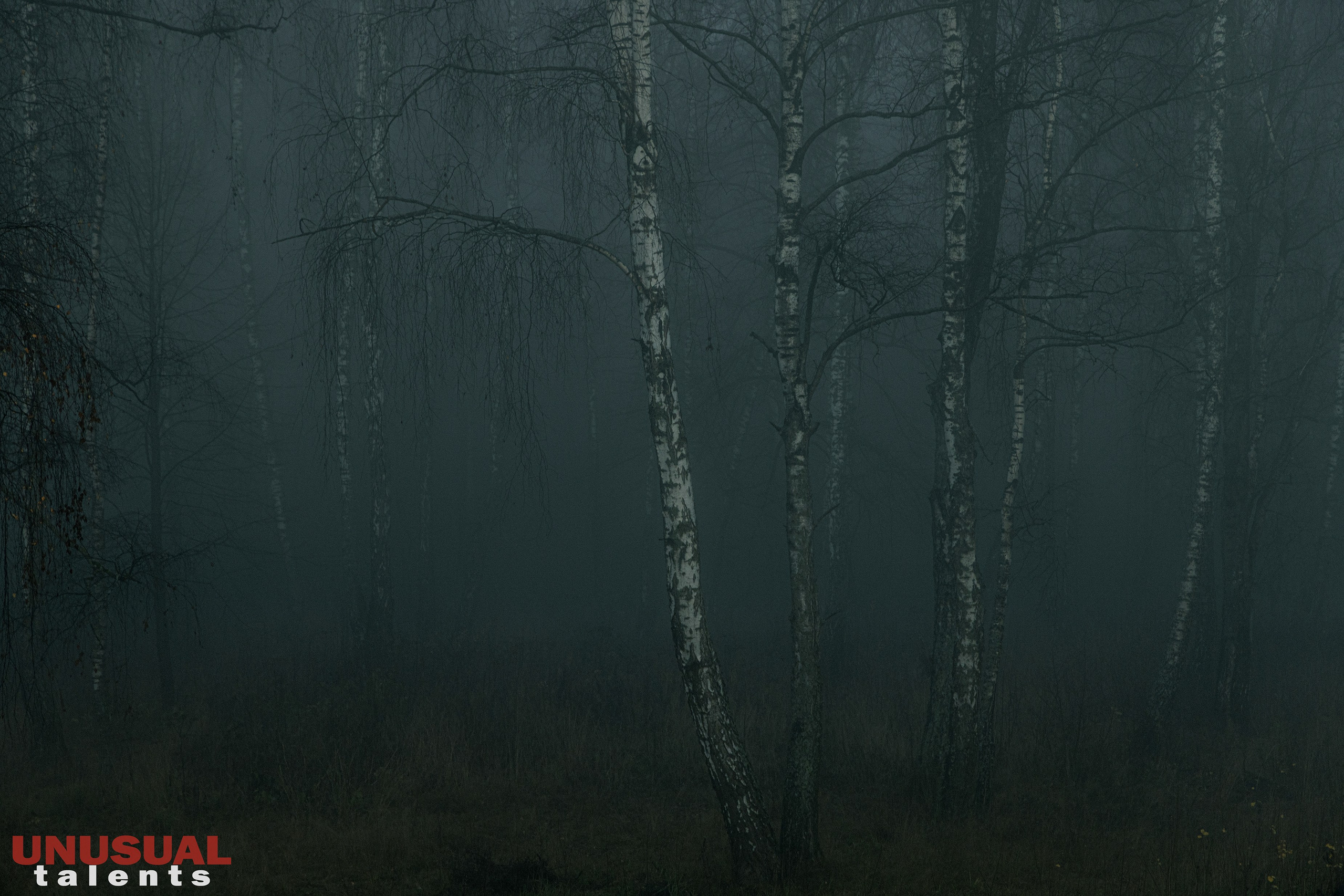 November 2025. UNUSUAL TALENT magazine