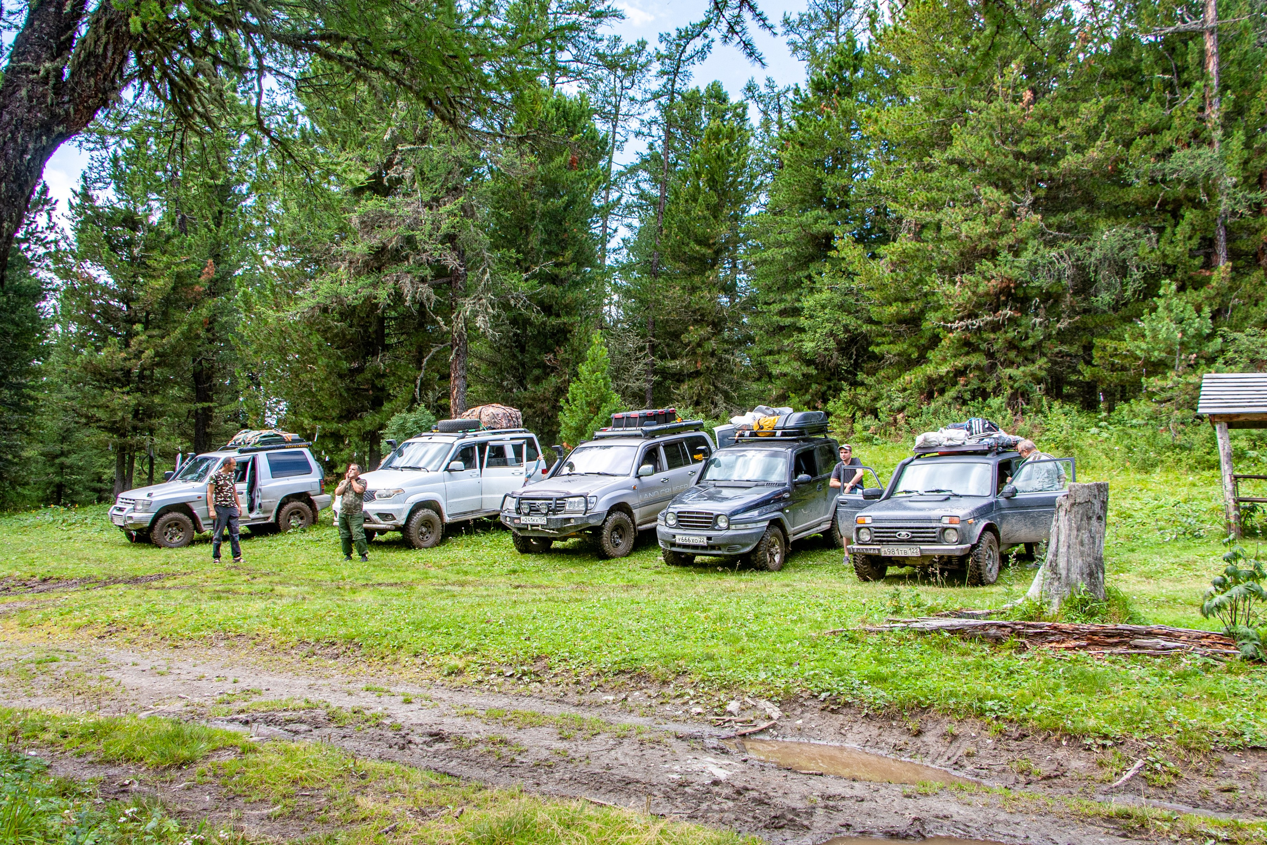 Плато Укок. Gennady Travel