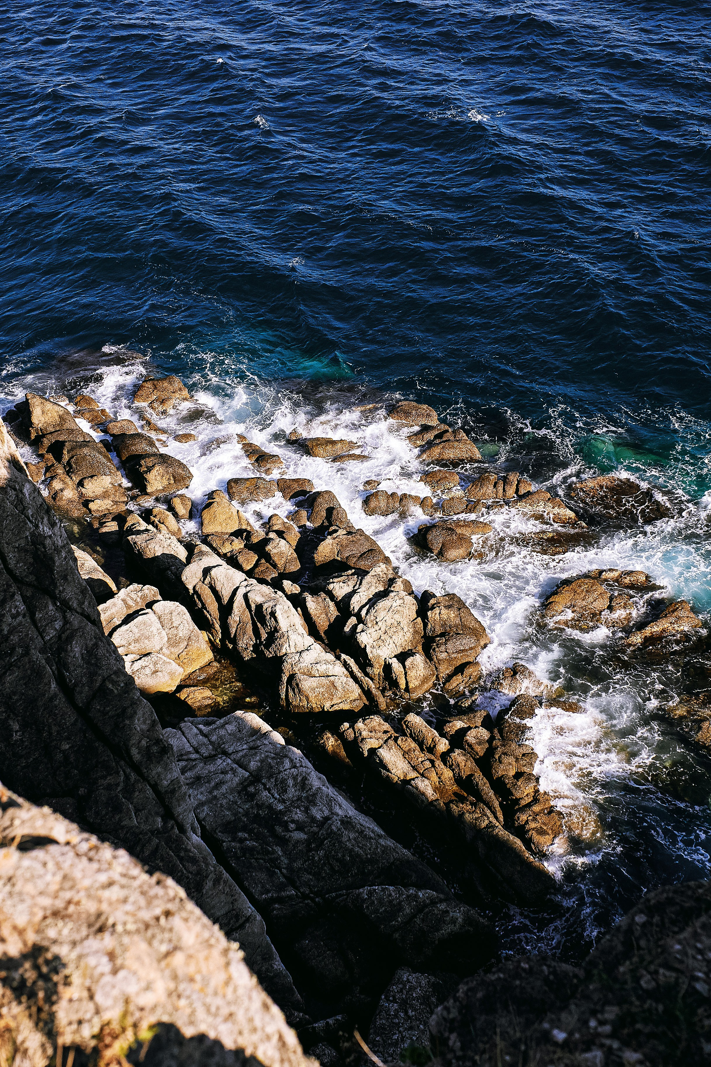 Пресеты для Camera Raw в Grok 3 - примеры обработанных фото и анализ возможностей языковой модели