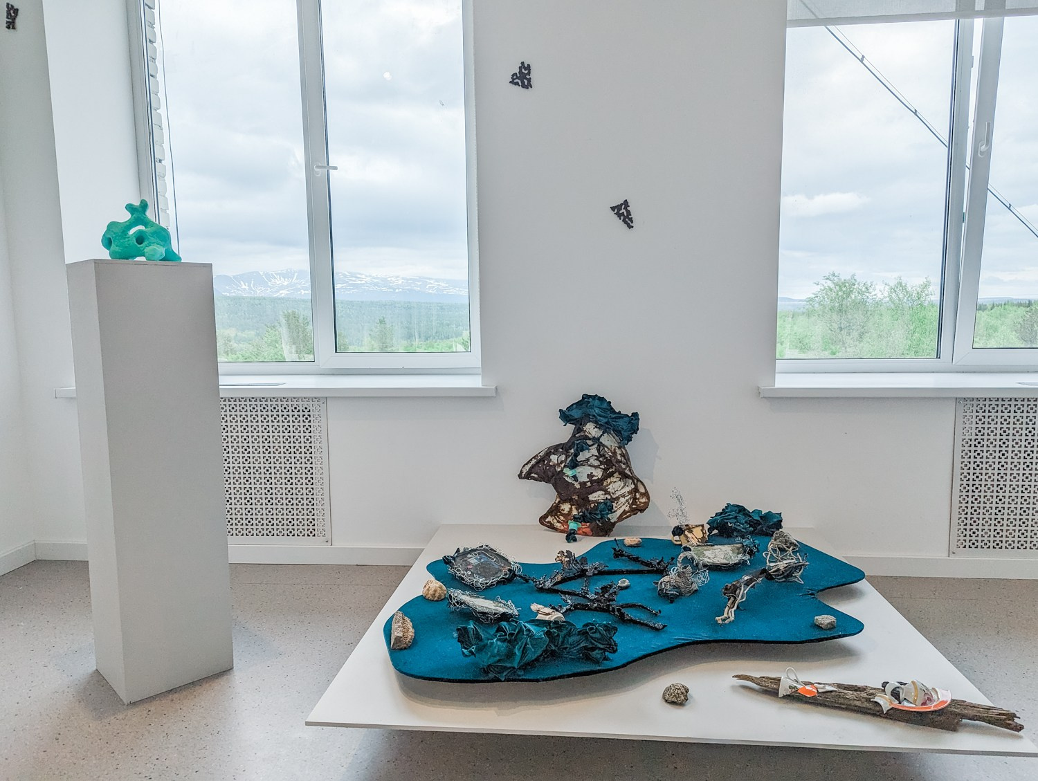 ''Как отрастить кожу'' выставка Яны Васильевой в ''Сиянии'' 8.06-1.08