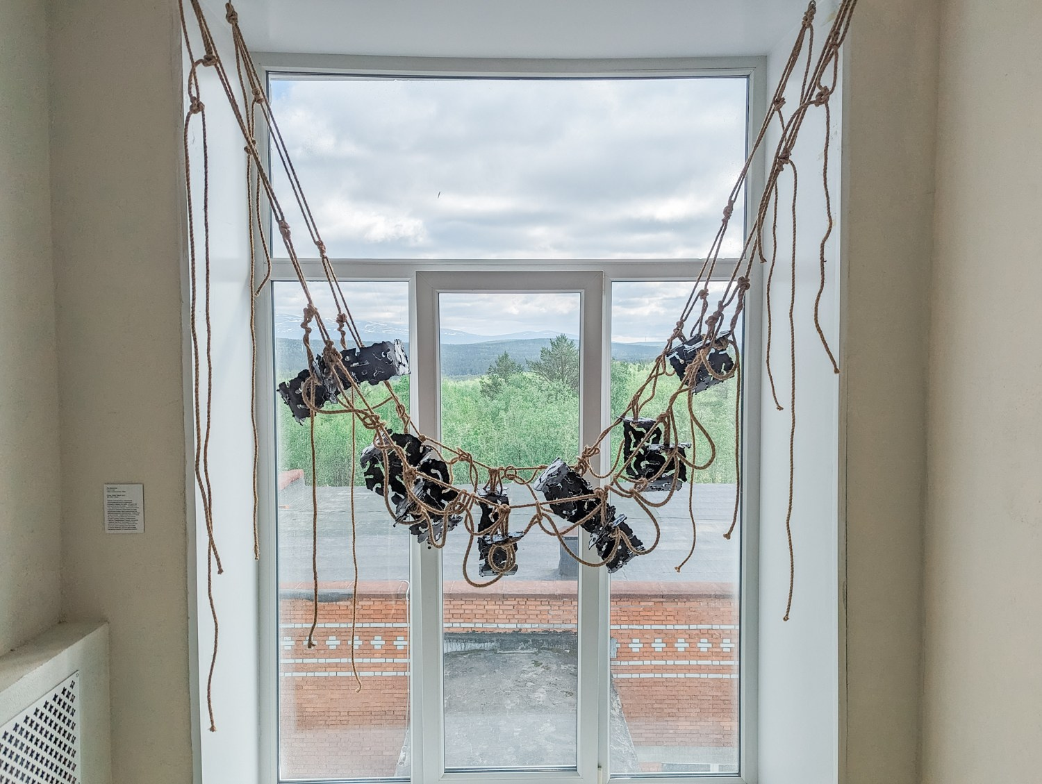 ''Как отрастить кожу'' выставка Яны Васильевой в ''Сиянии'' 8.06-1.08