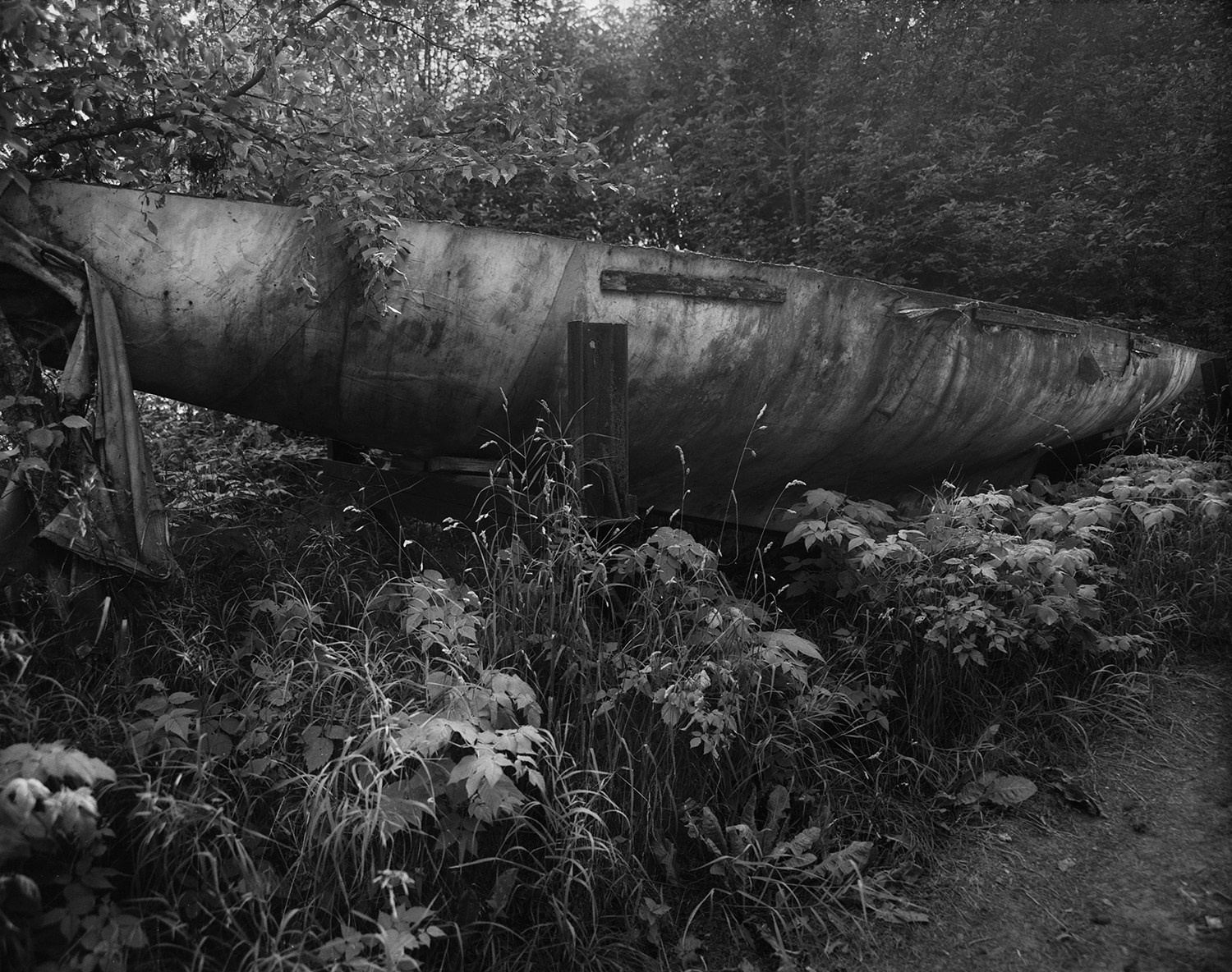 The voice of cold water. Vika Bykovskaya photography