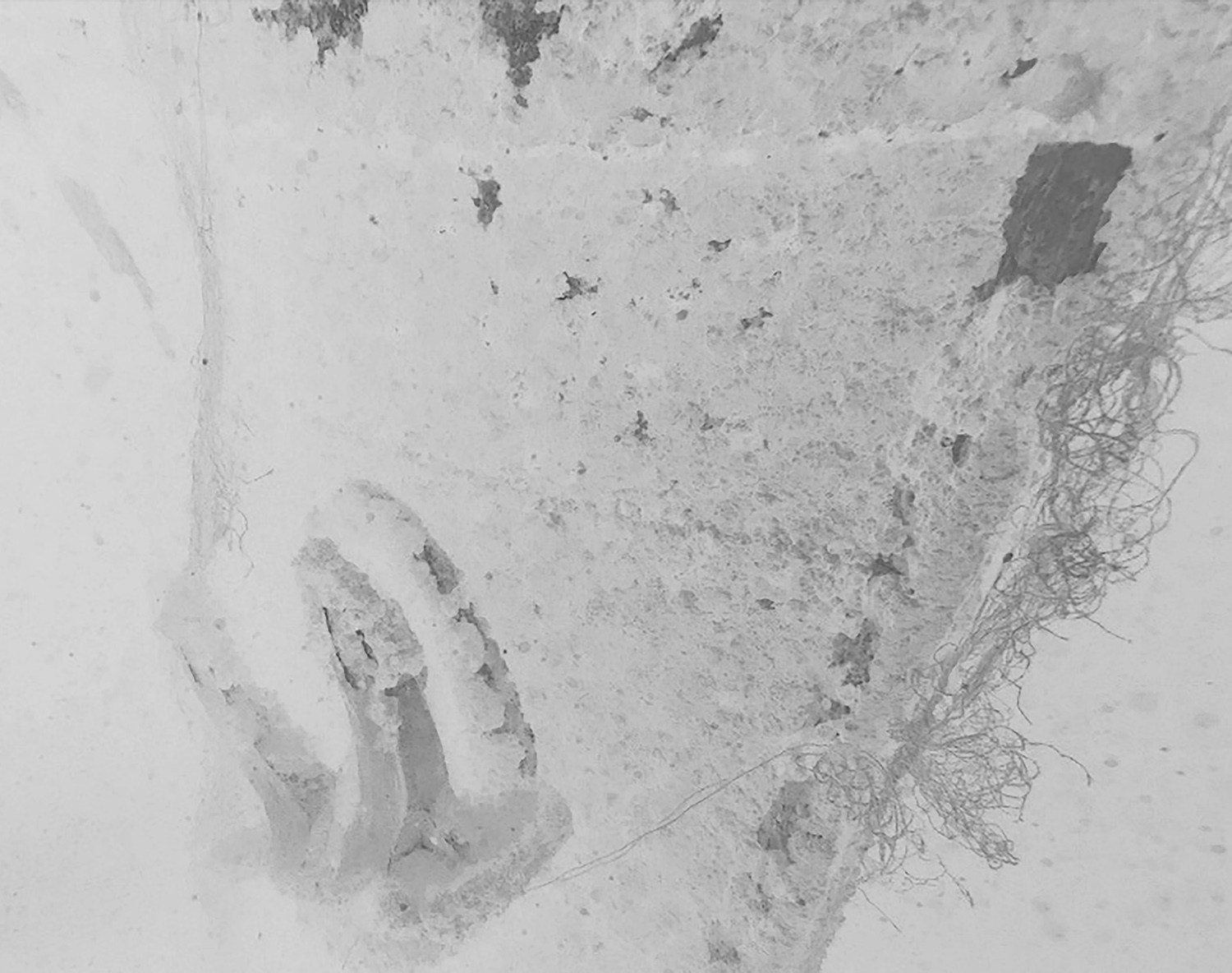 The voice of cold water. Vika Bykovskaya photography