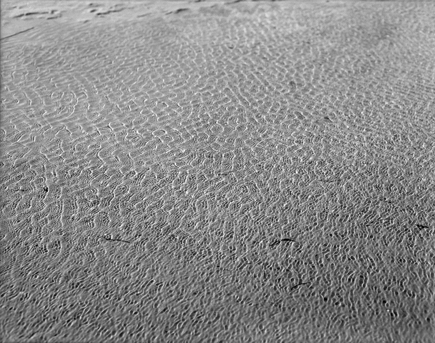 The voice of cold water. Vika Bykovskaya photography